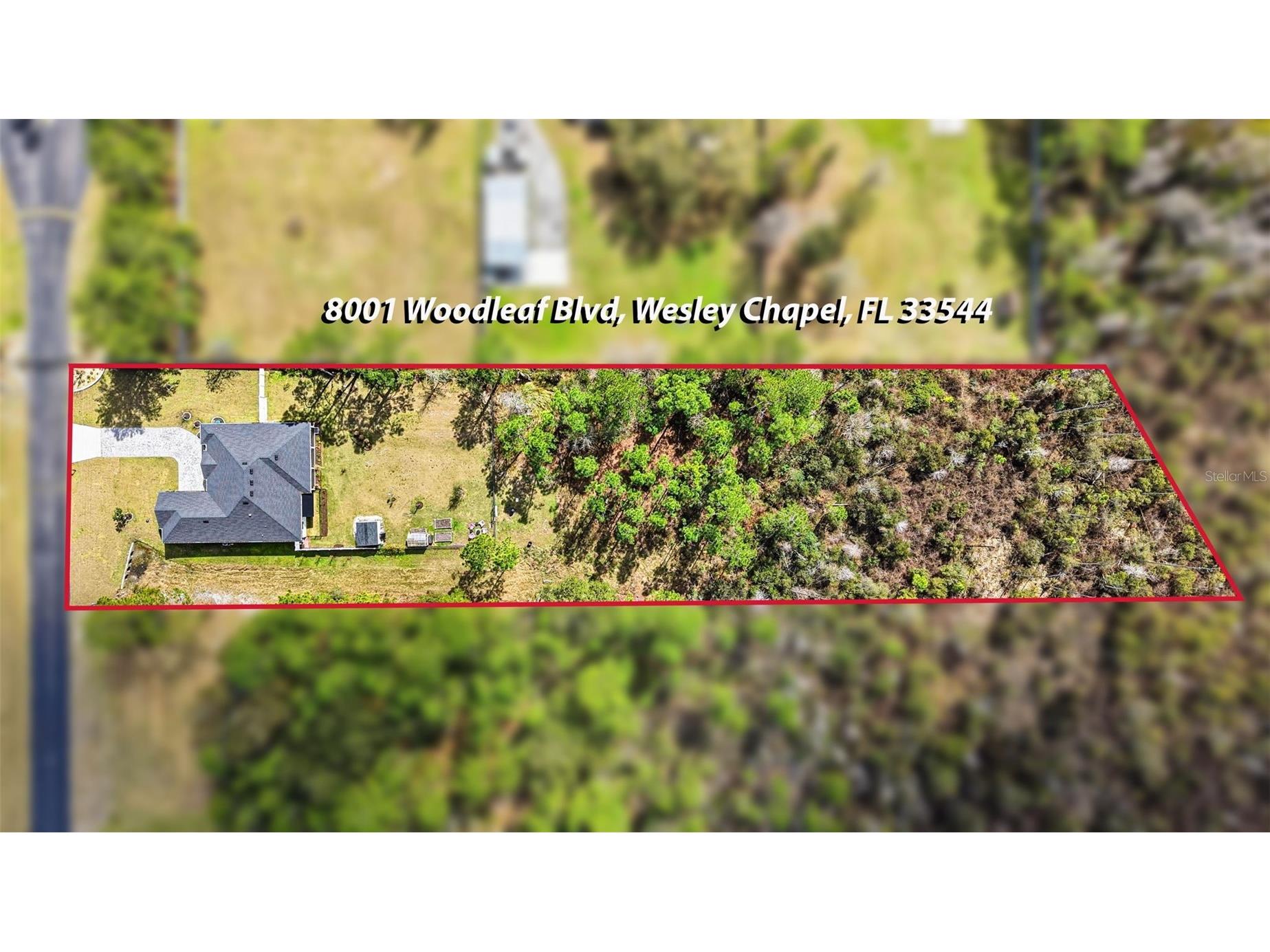 8001 Woodleaf Boulevard Wesley Chapel FL 33544 TB8464672 image48