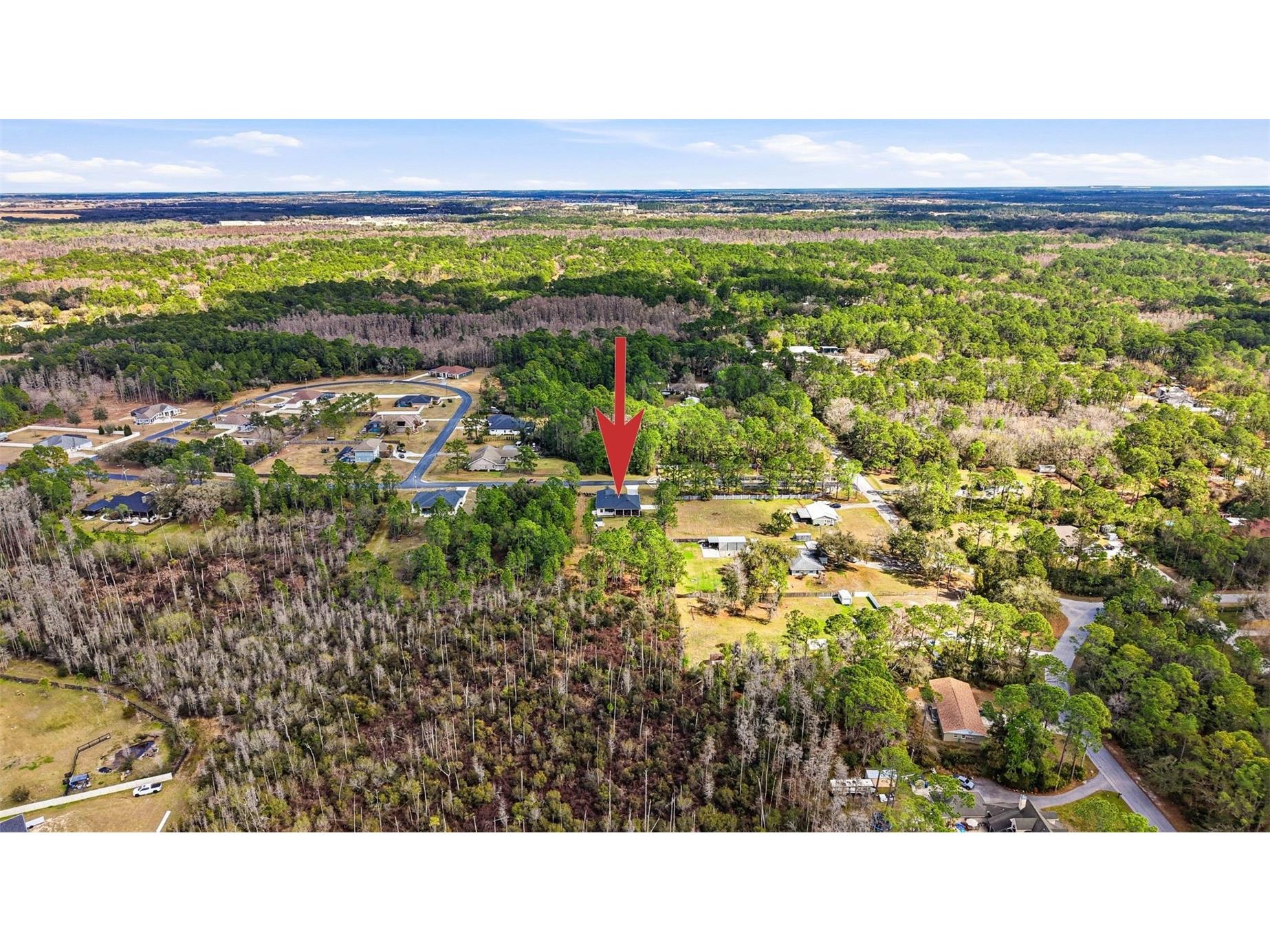 8001 Woodleaf Boulevard Wesley Chapel FL 33544 TB8464672 image49