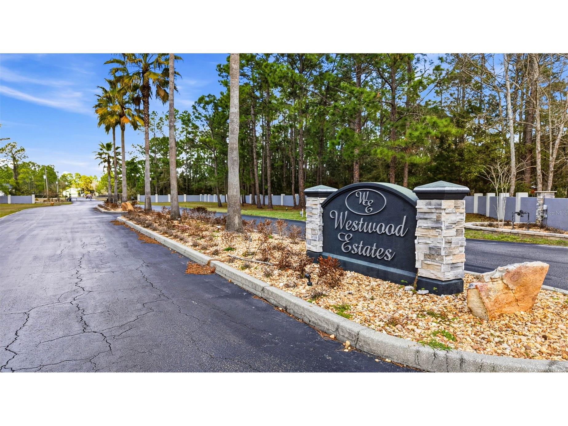 8001 Woodleaf Boulevard Wesley Chapel FL 33544 TB8464672 image53