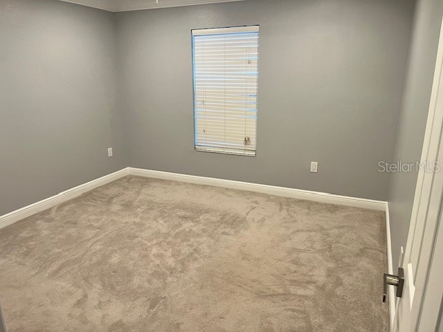 8002 SE 62nd Loop Ocala FL 34472 OM719297 image16