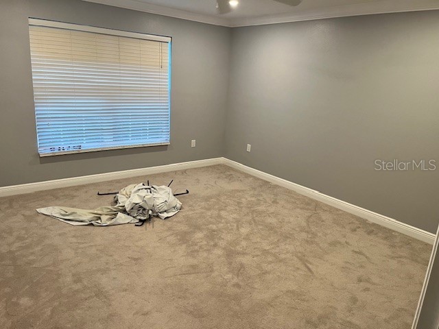 8002 SE 62nd Loop Ocala FL 34472 OM719297 image18