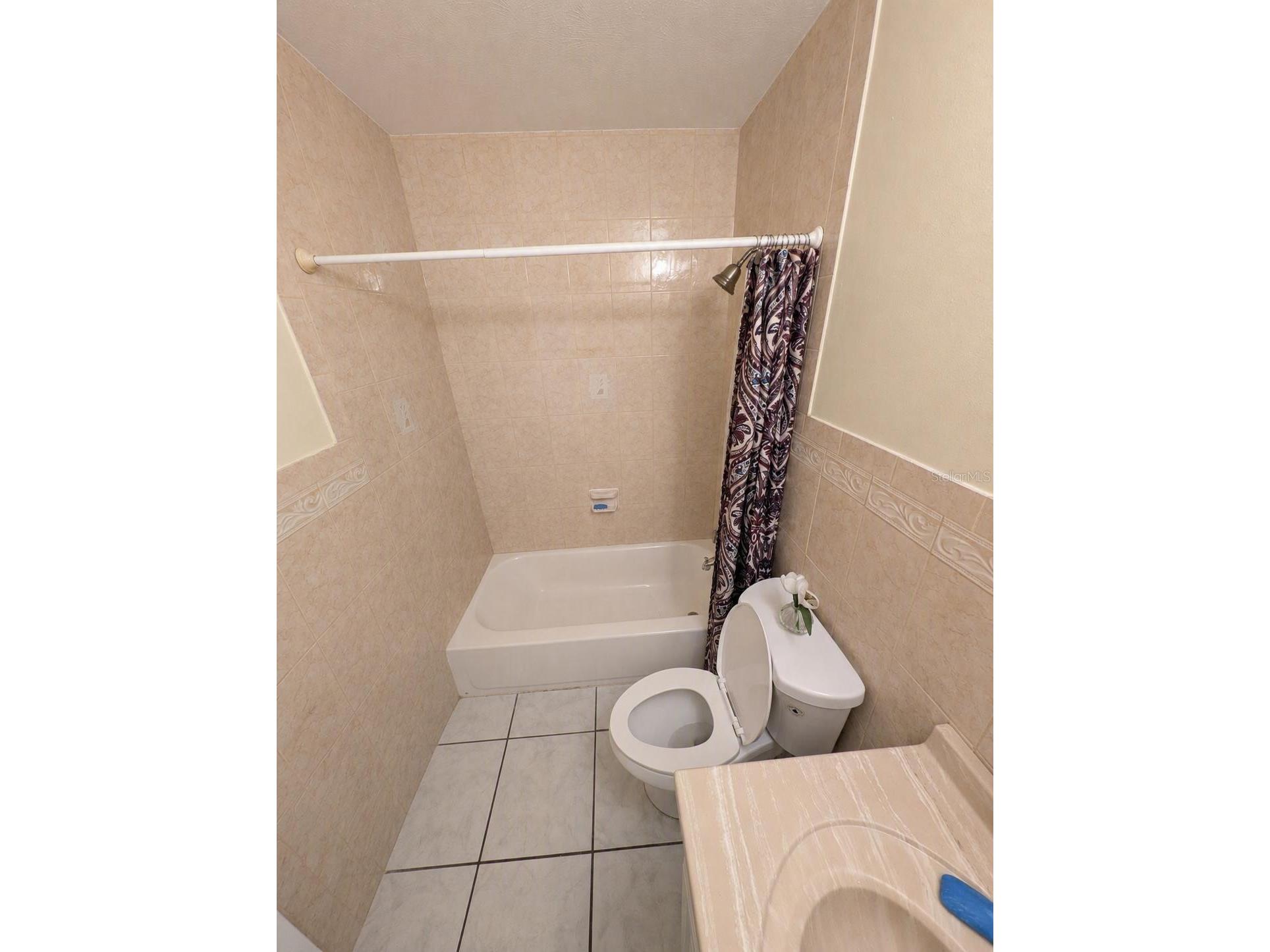 8002 Woodvine Place Tampa FL 33615 TB8528951 image19