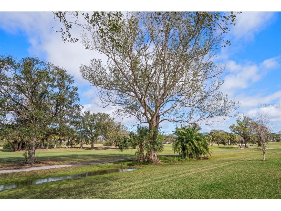 8003 Bardmoor Place #204 Seminole FL 33777 TB8355577 image21