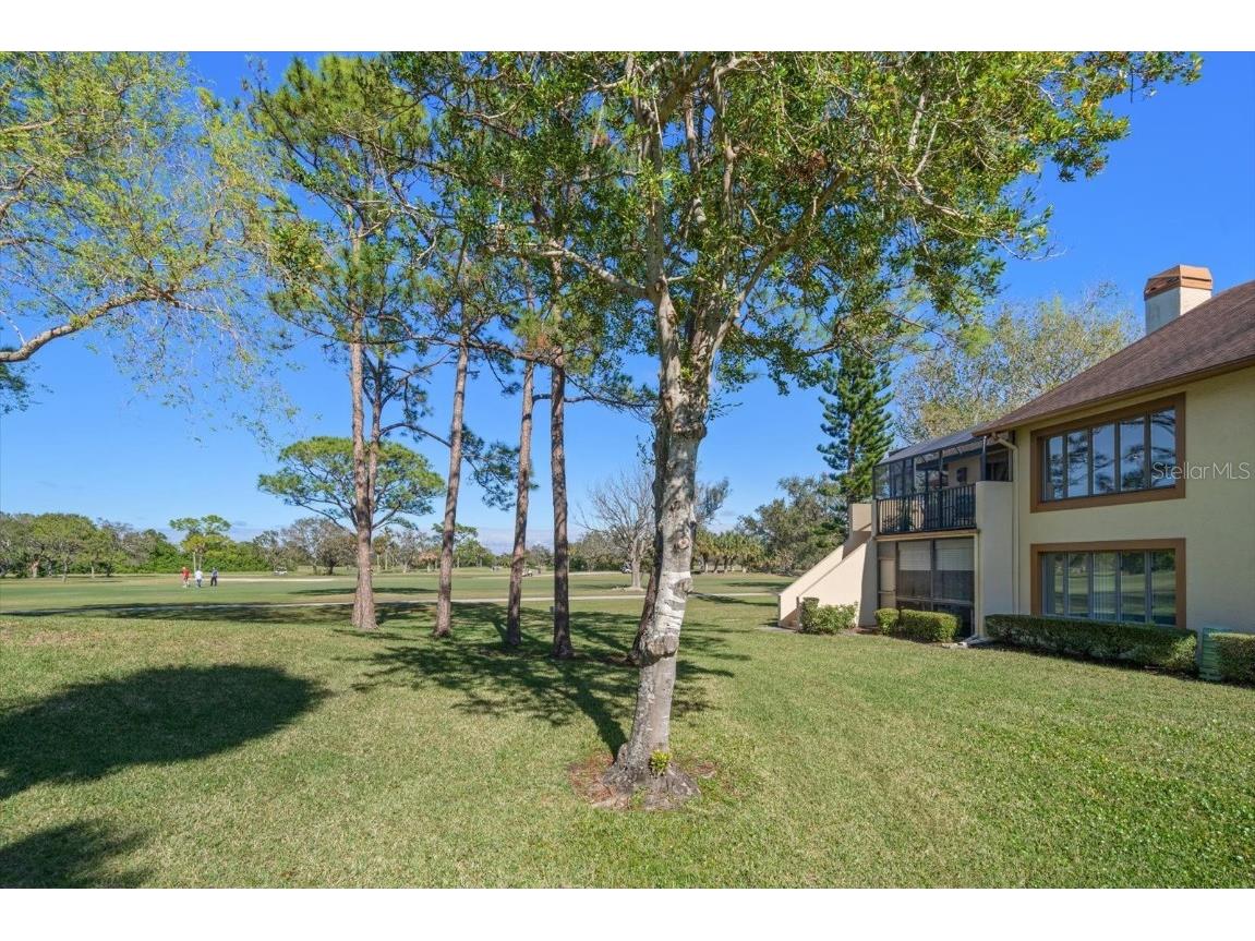 8003 Bardmoor Place #204 Seminole FL 33777 TB8355577 image43