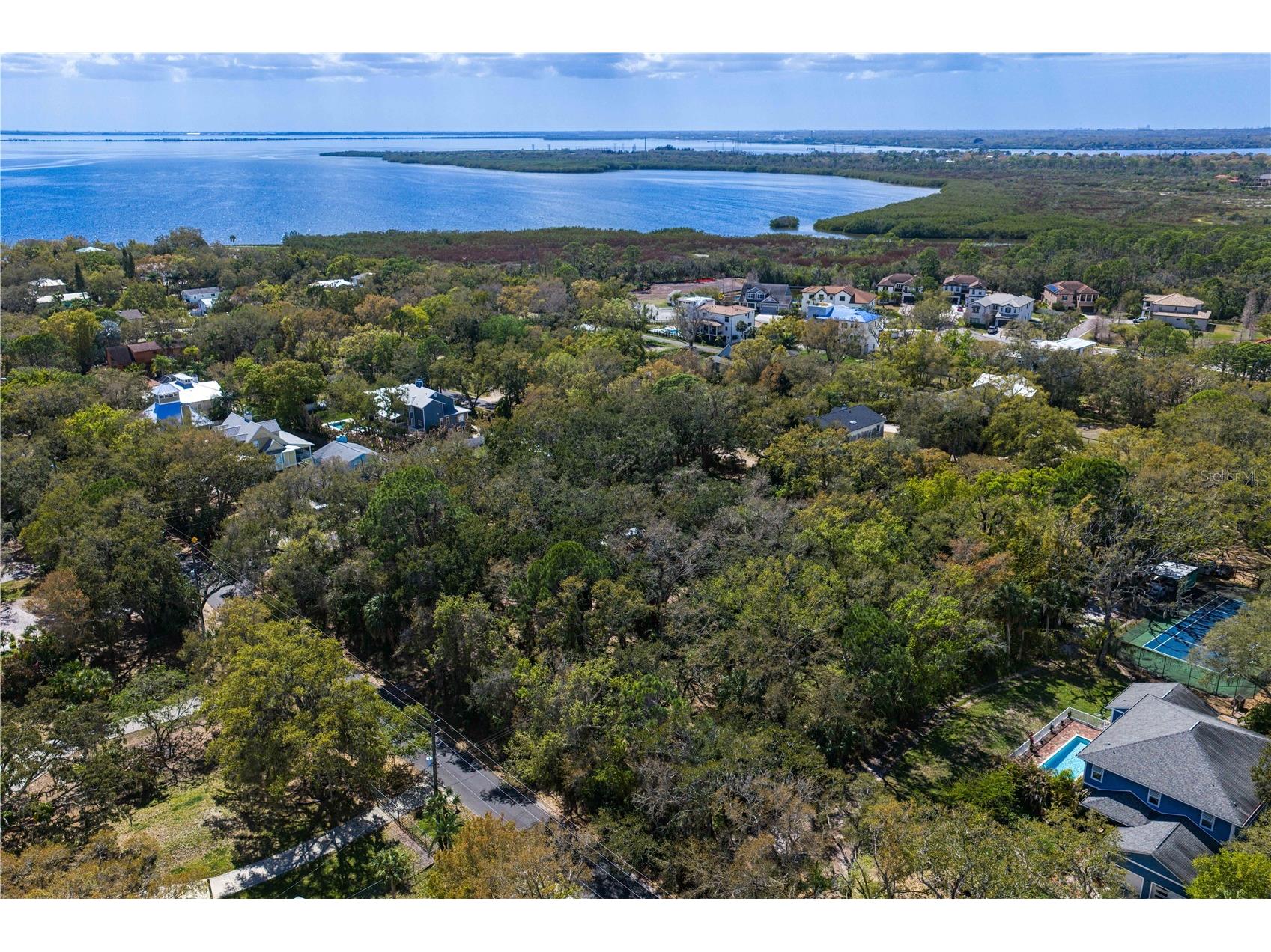 8004 Bay Drive Tampa FL 33635 TB8483794 image1