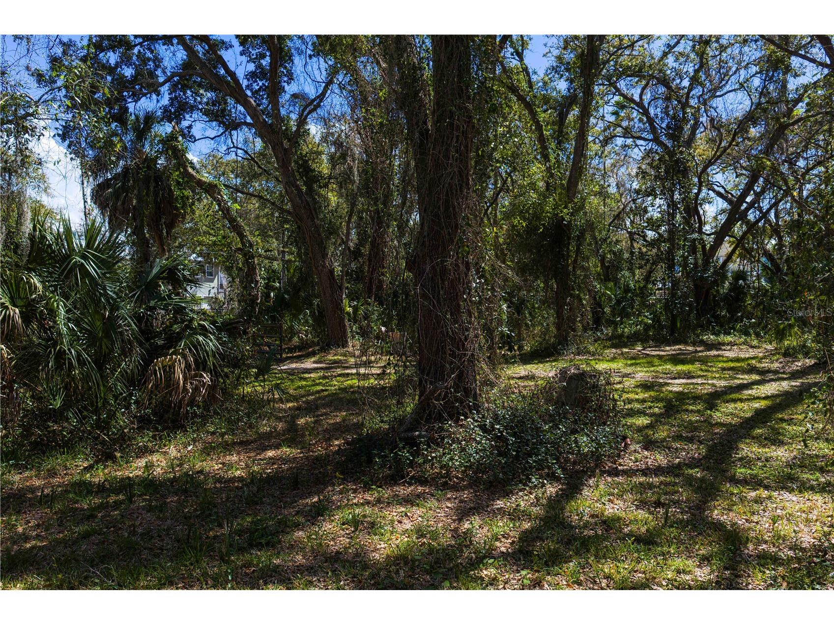 8004 Bay Drive Tampa FL 33635 TB8483794 image10