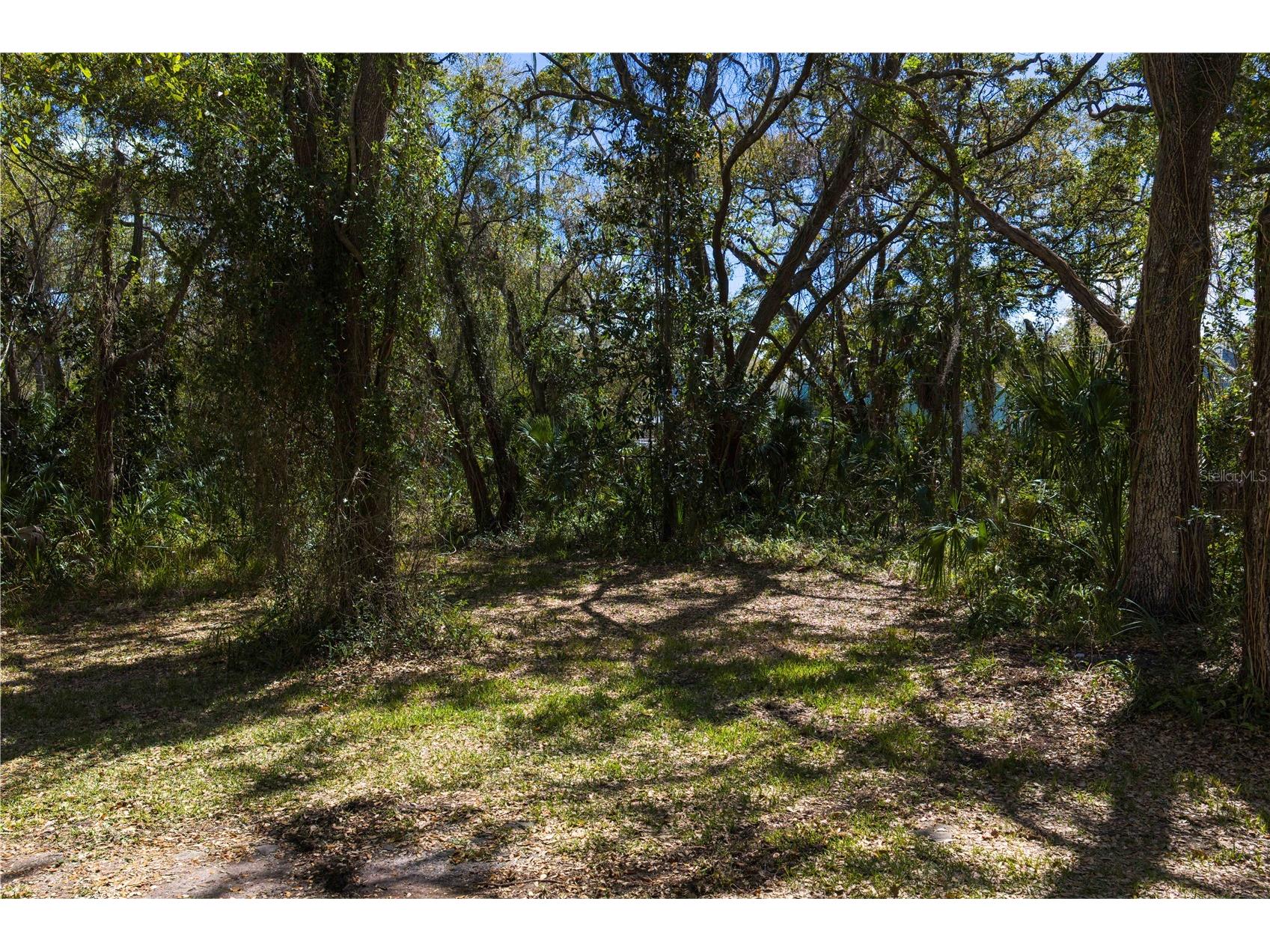 8004 Bay Drive Tampa FL 33635 TB8483794 image12