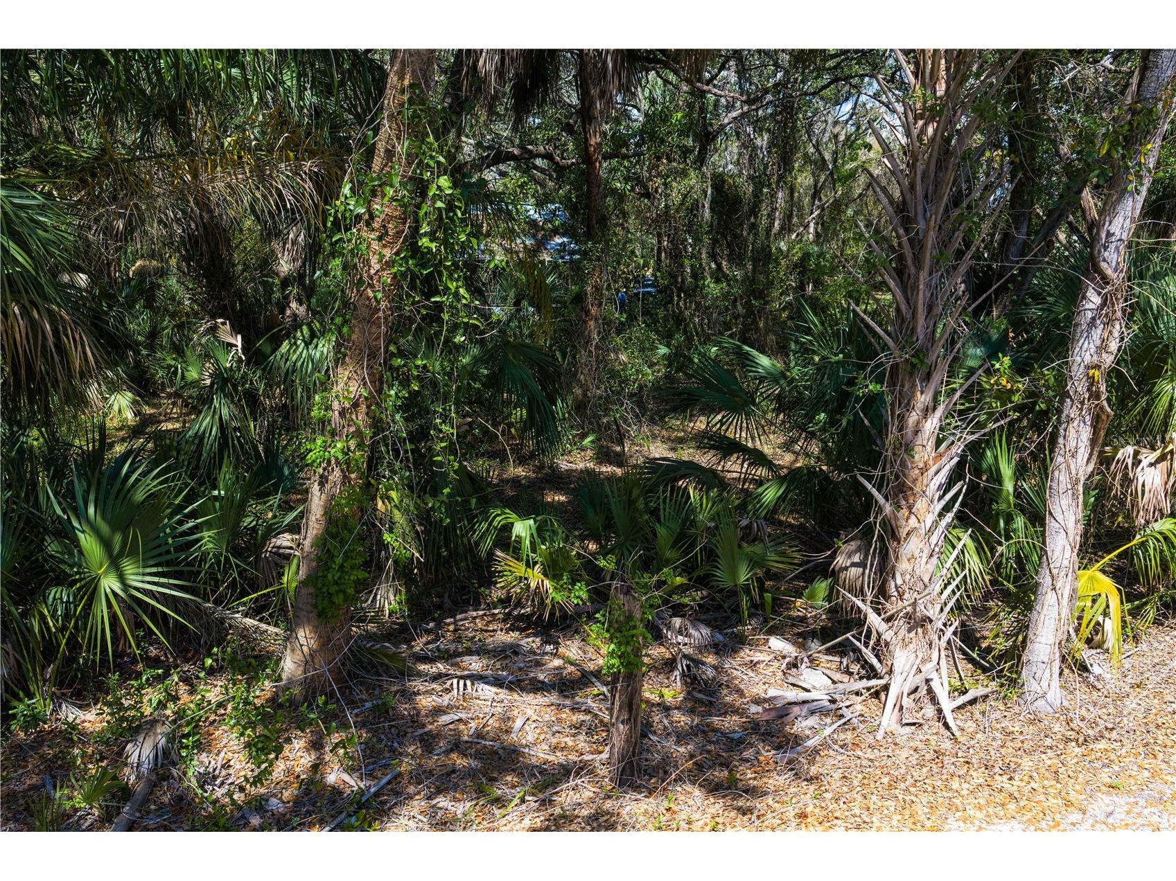 8004 Bay Drive Tampa FL 33635 TB8483794 image13