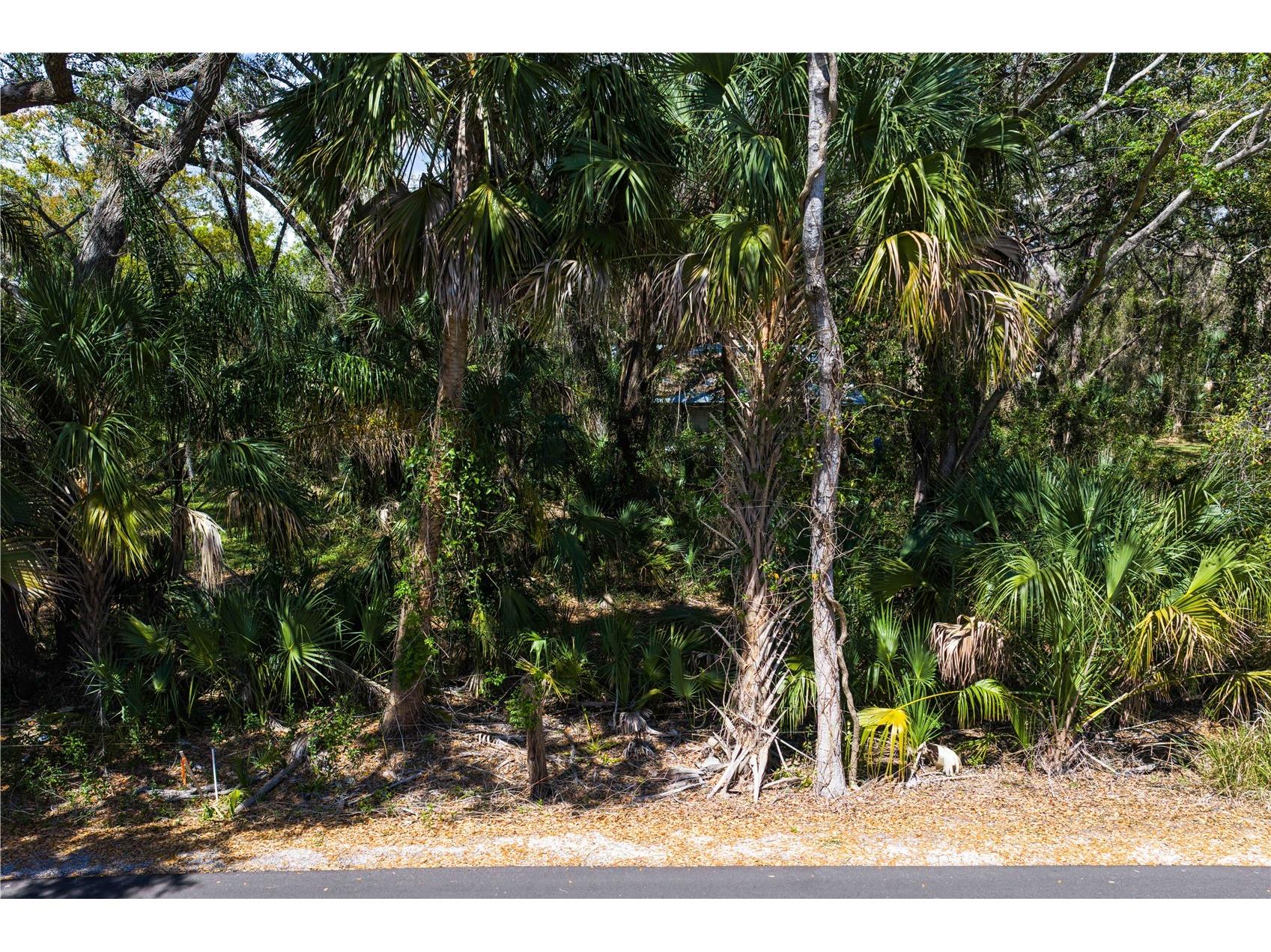 8004 Bay Drive Tampa FL 33635 TB8483794 image14