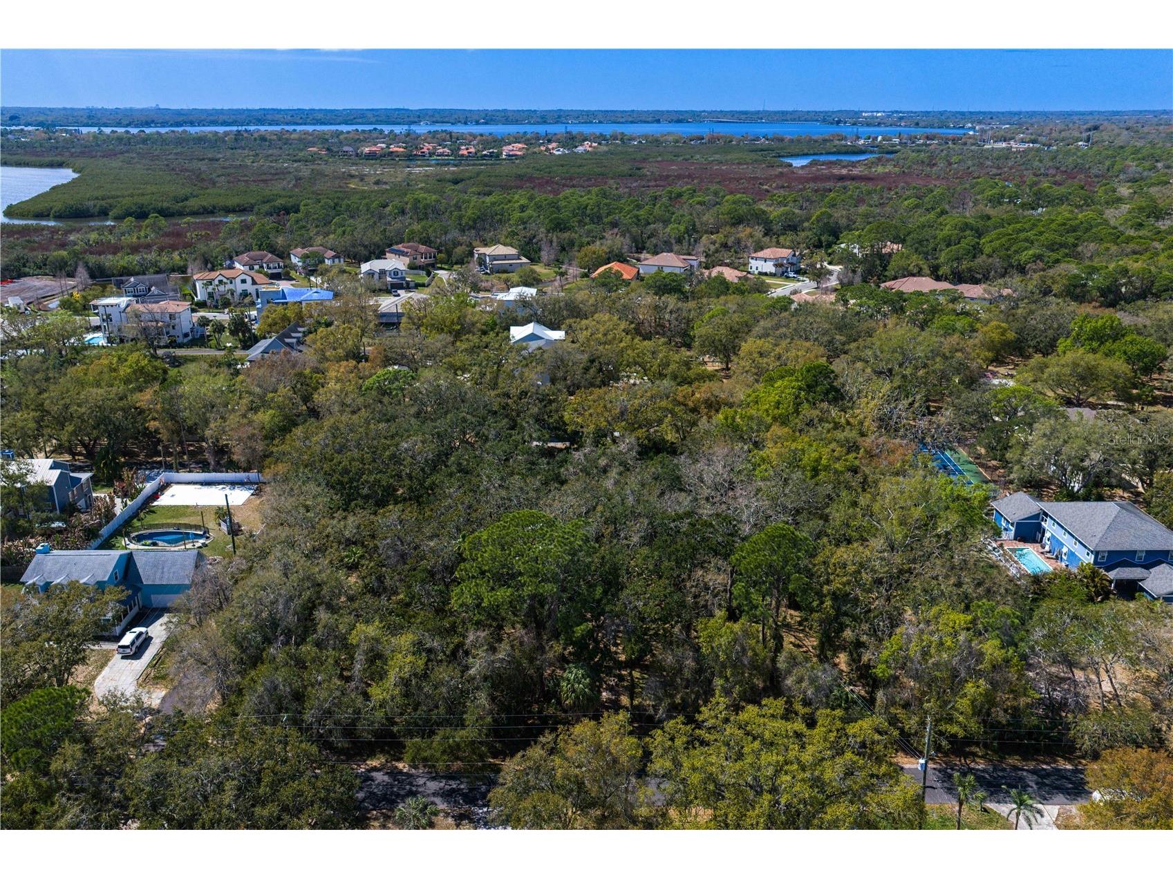 8004 Bay Drive Tampa FL 33635 TB8483794 image16