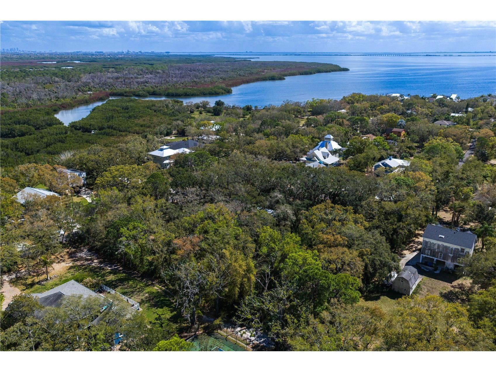 8004 Bay Drive Tampa FL 33635 TB8483794 image18