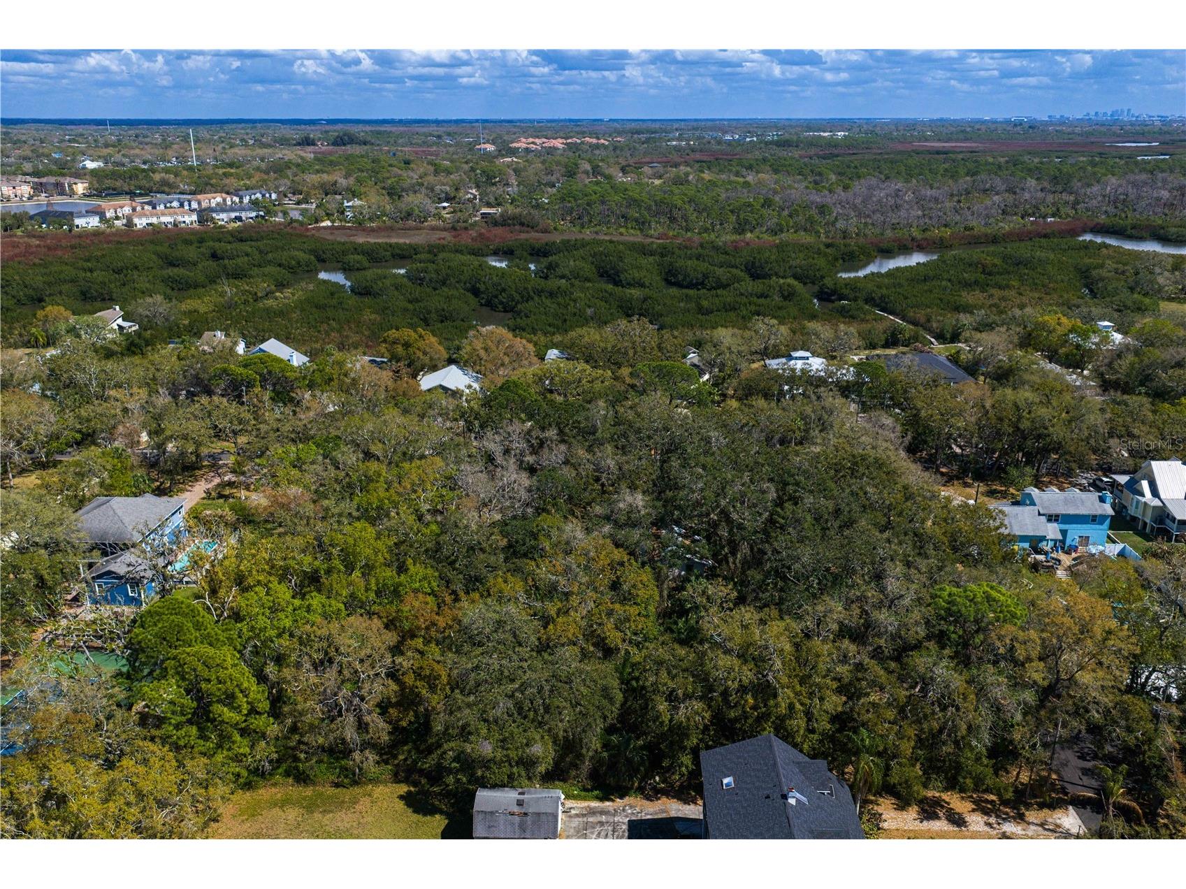 8004 Bay Drive Tampa FL 33635 TB8483794 image19