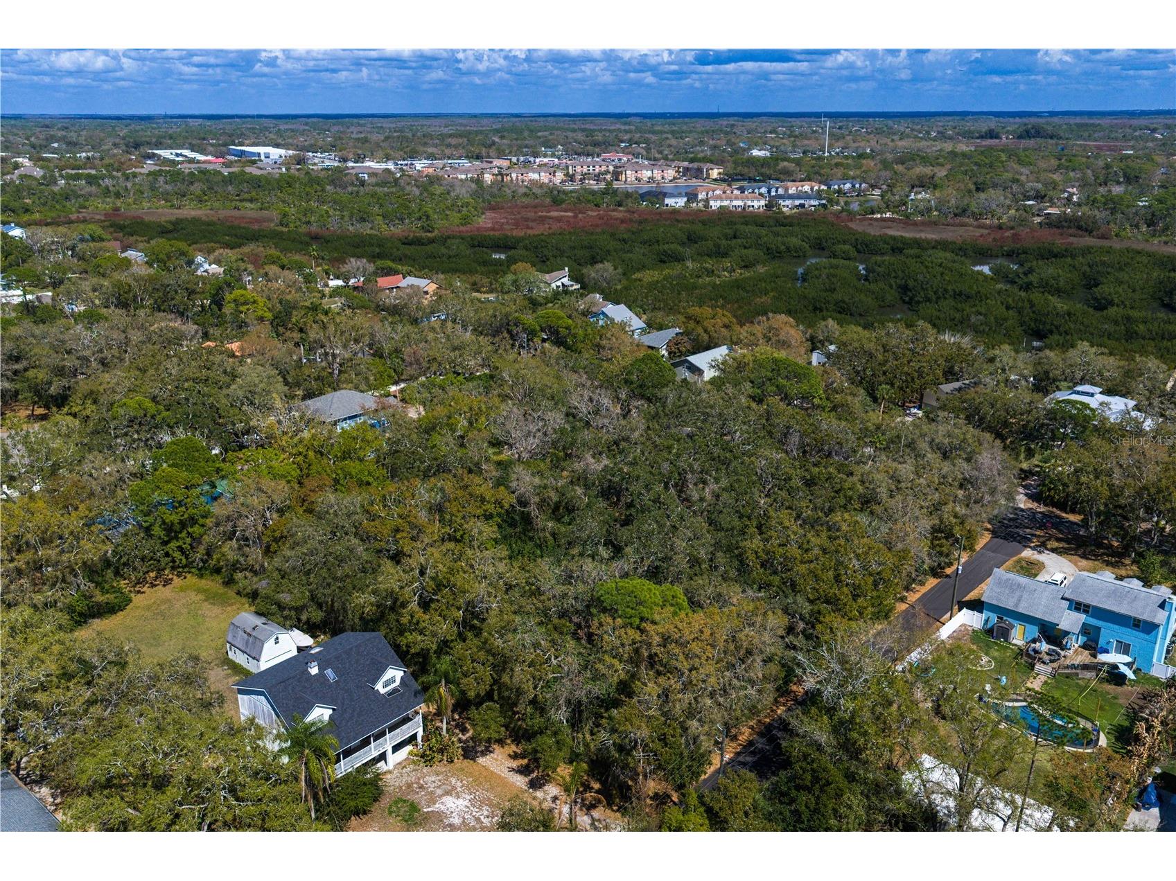 8004 Bay Drive Tampa FL 33635 TB8483794 image20
