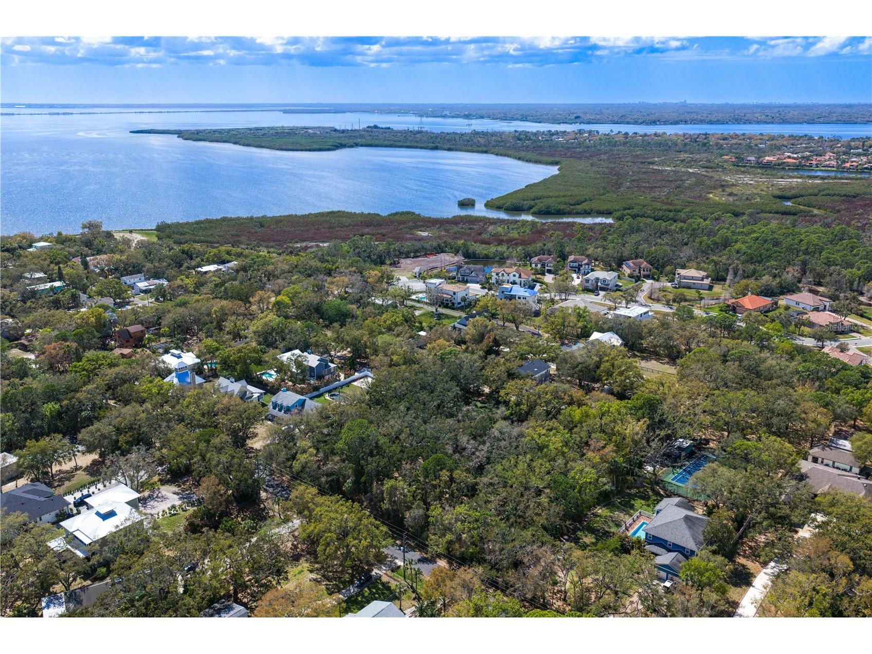 8004 Bay Drive Tampa FL 33635 TB8483794 image25