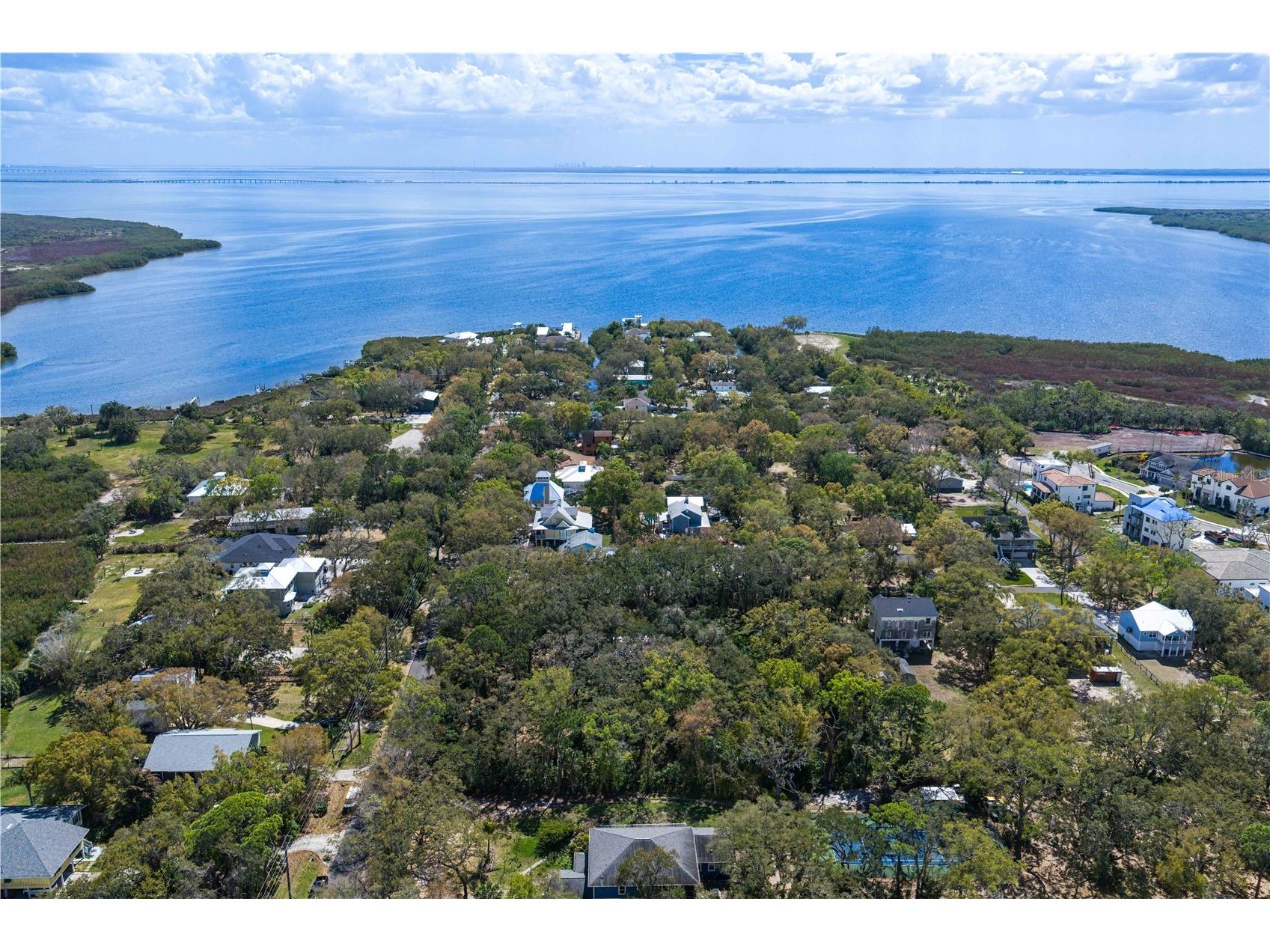 8004 Bay Drive Tampa FL 33635 TB8483794 image26