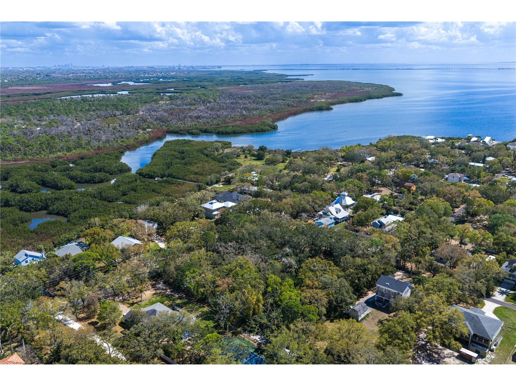 8004 Bay Drive Tampa FL 33635 TB8483794 image27