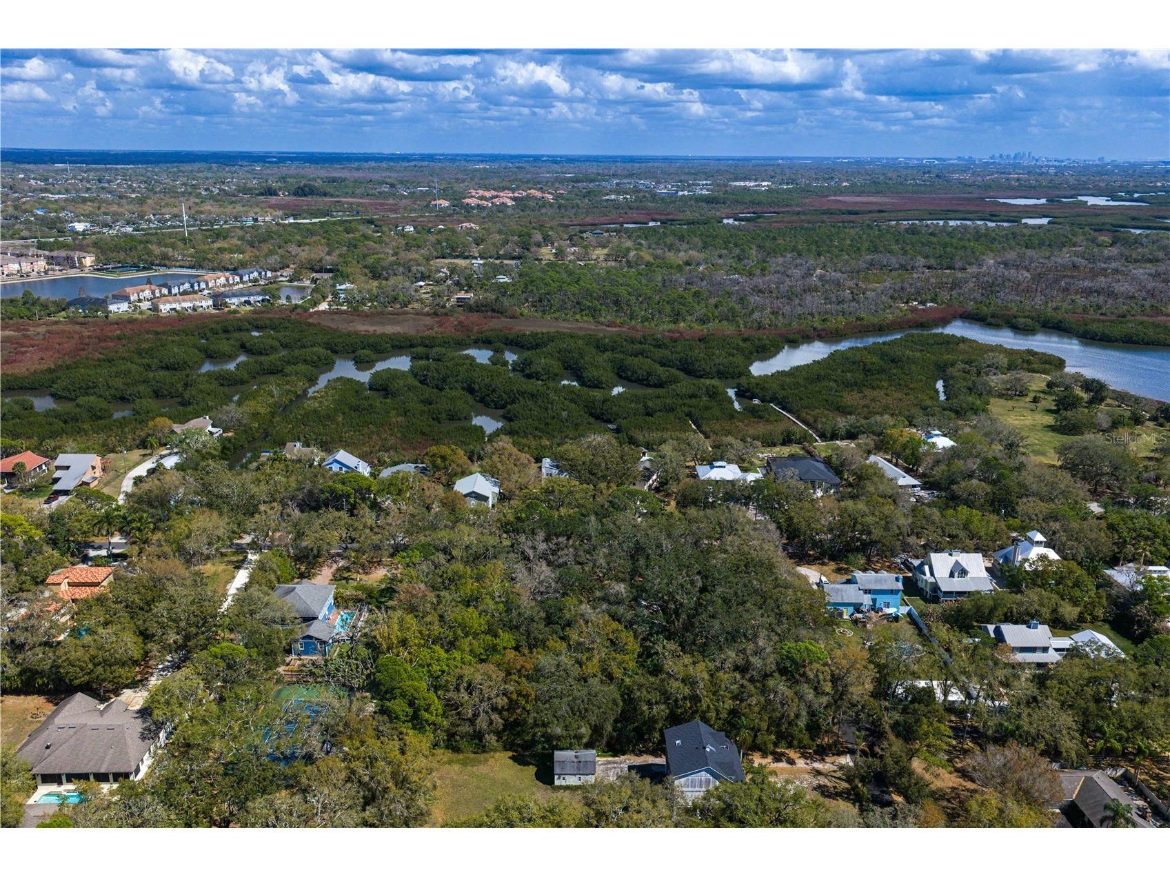 8004 Bay Drive Tampa FL 33635 TB8483794 image28