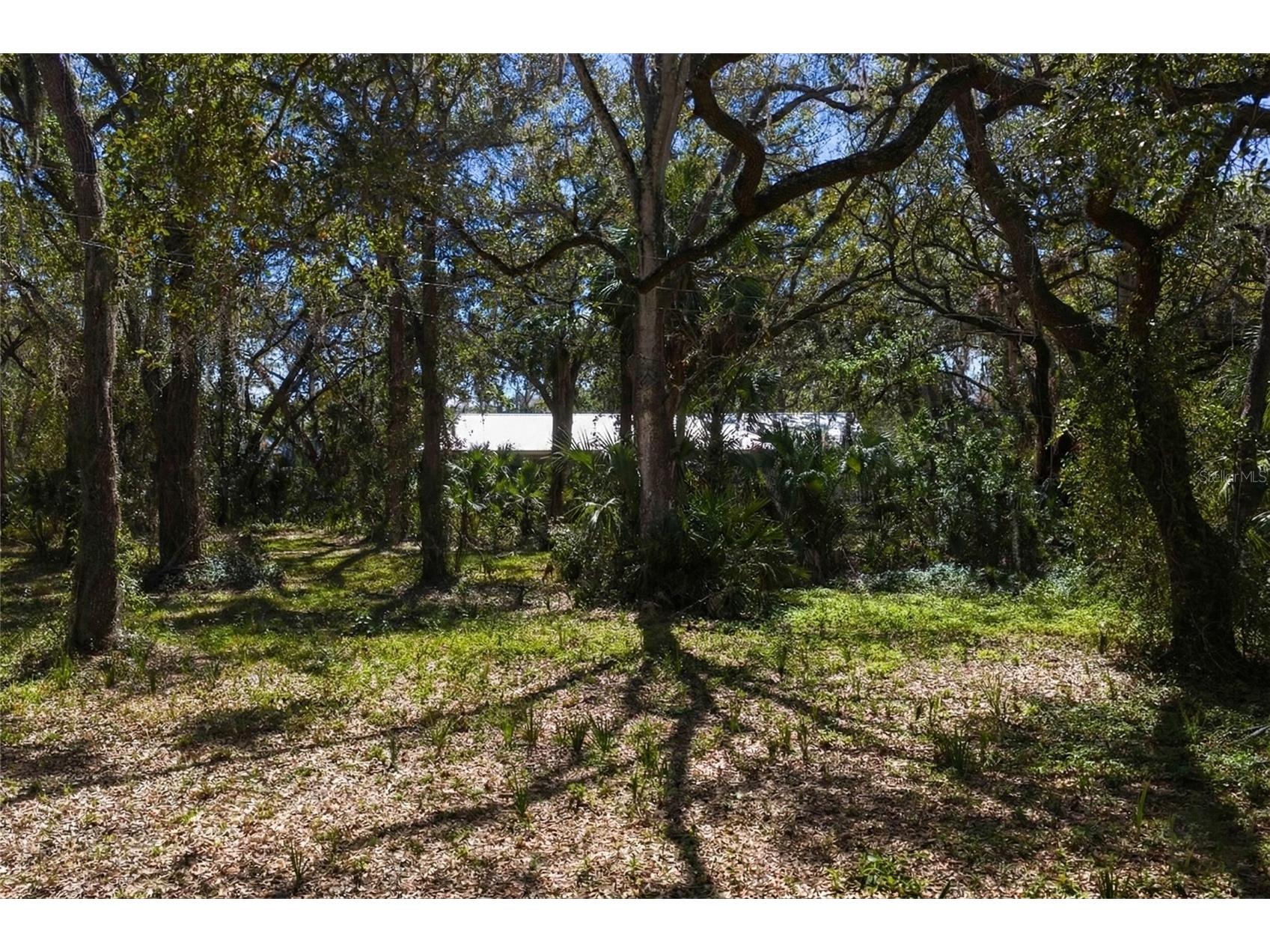 8004 Bay Drive Tampa FL 33635 TB8483794 image4