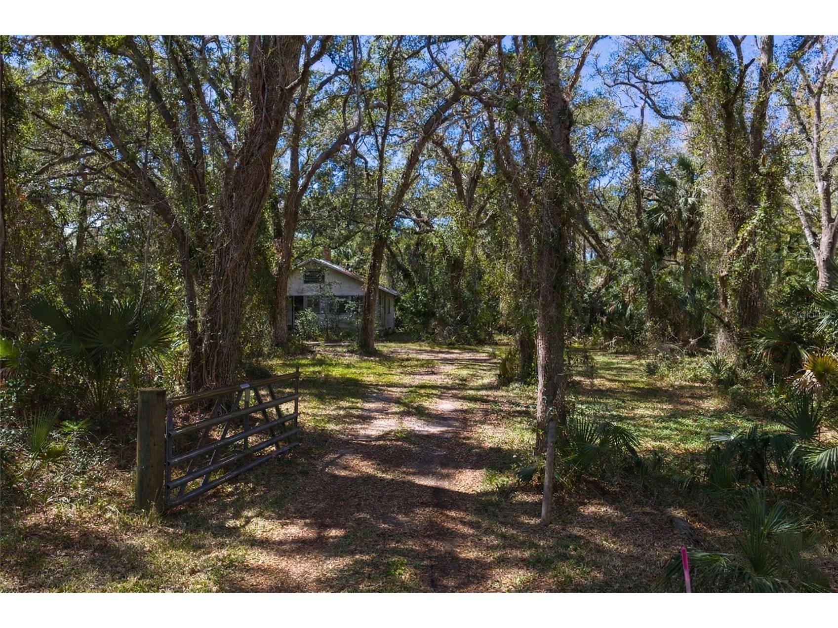 8004 Bay Drive Tampa FL 33635 TB8483794 image6