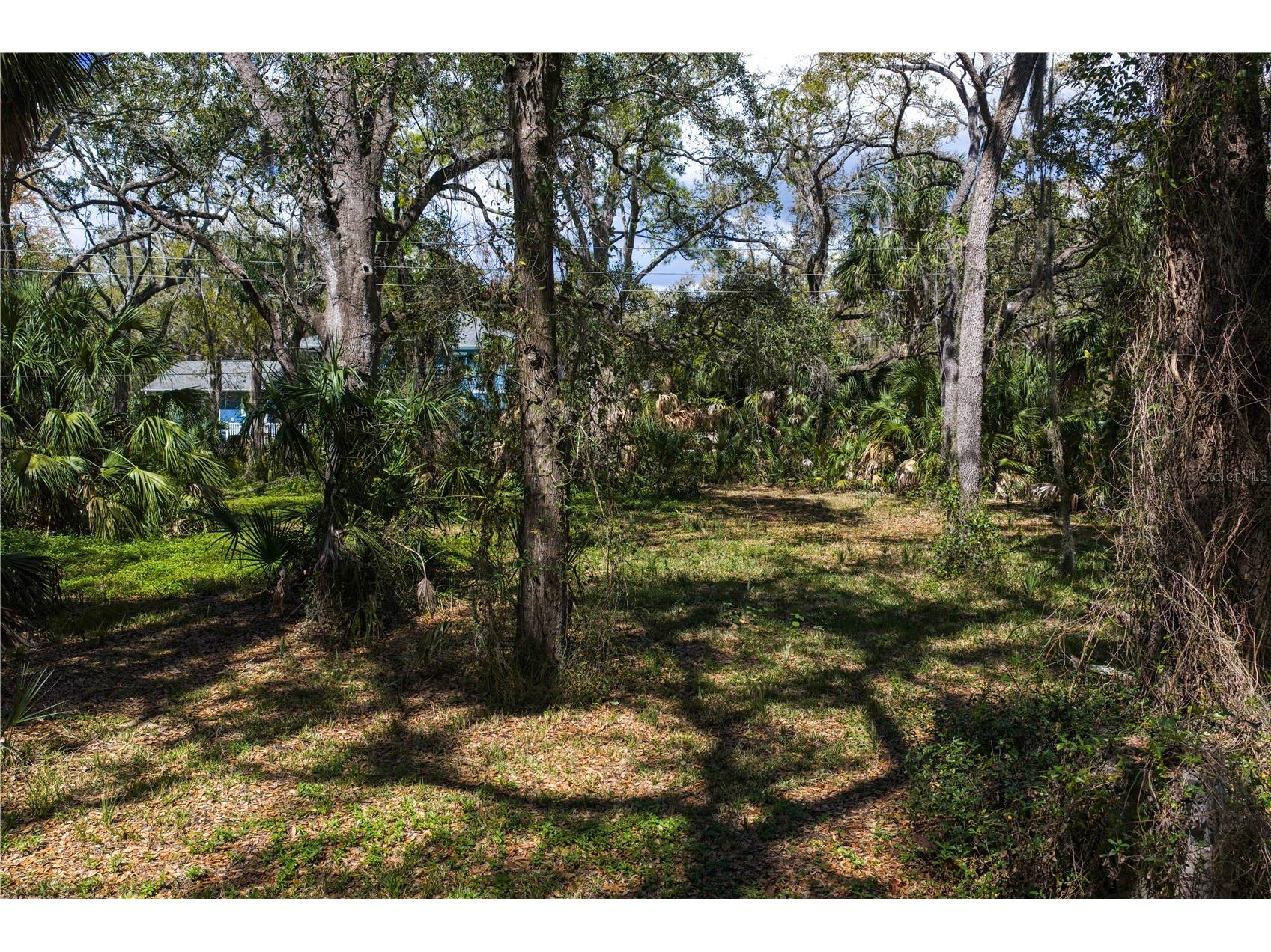 8004 Bay Drive Tampa FL 33635 TB8483794 image7