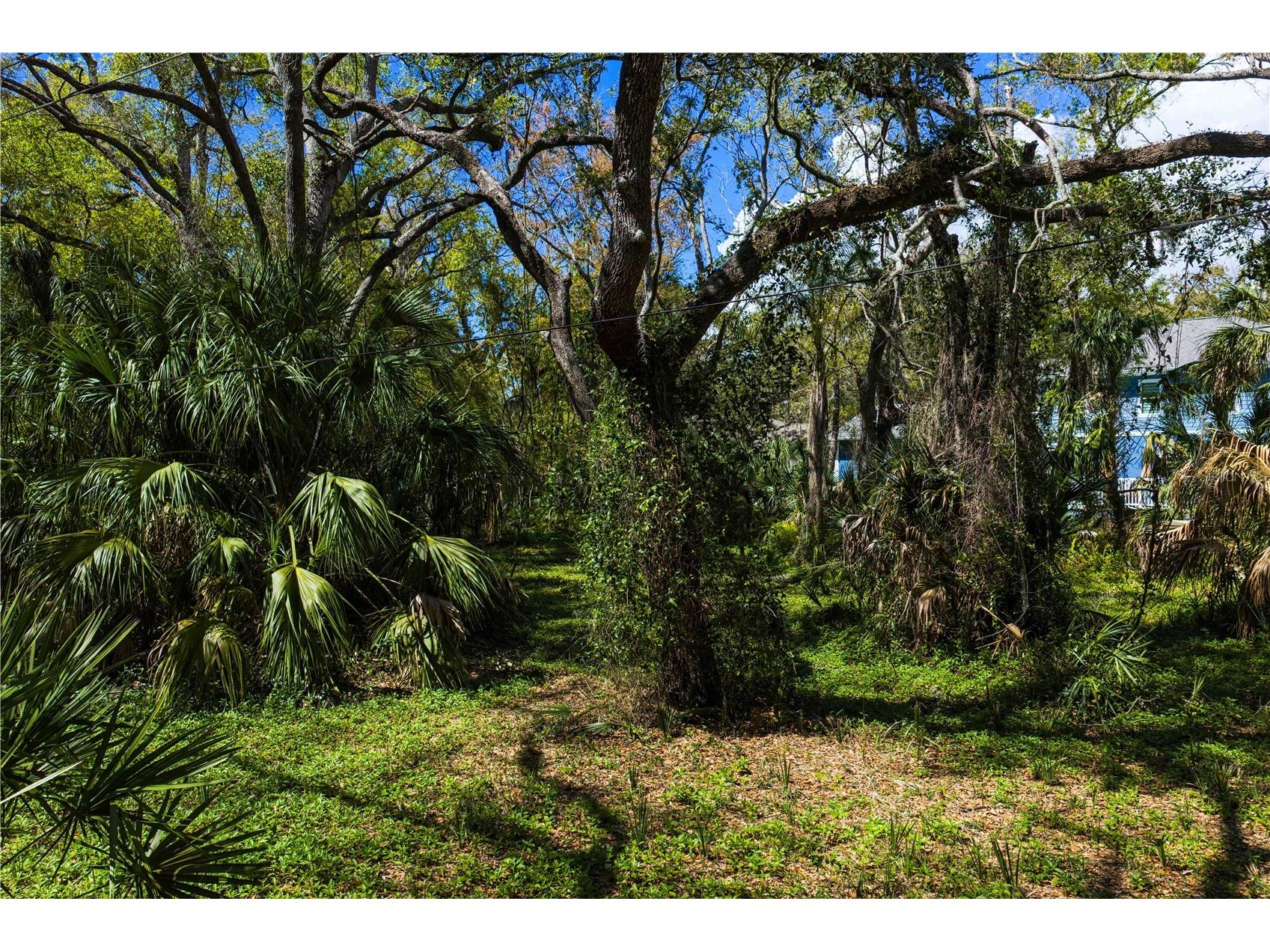 8004 Bay Drive Tampa FL 33635 TB8483794 image8