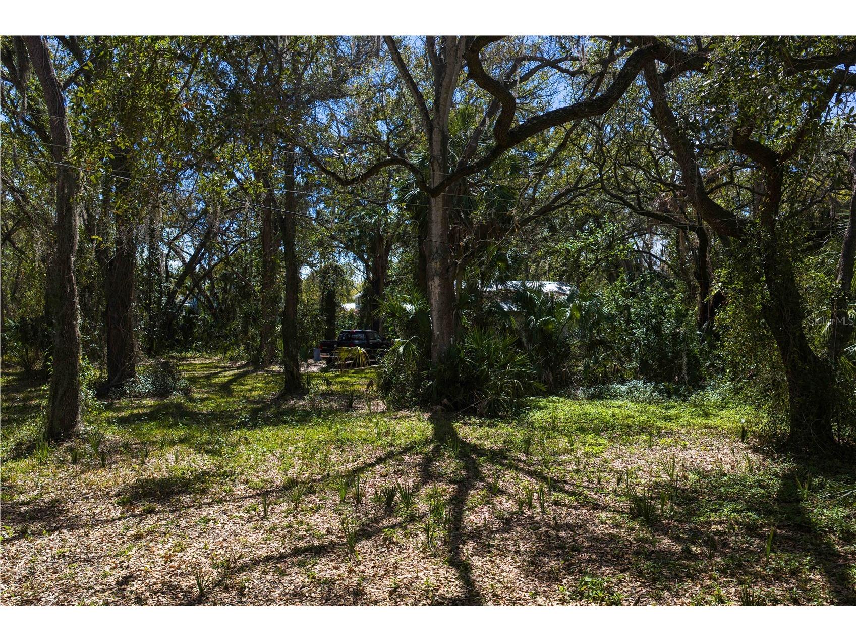 8004 Bay Drive Tampa FL 33635 TB8483794 image9