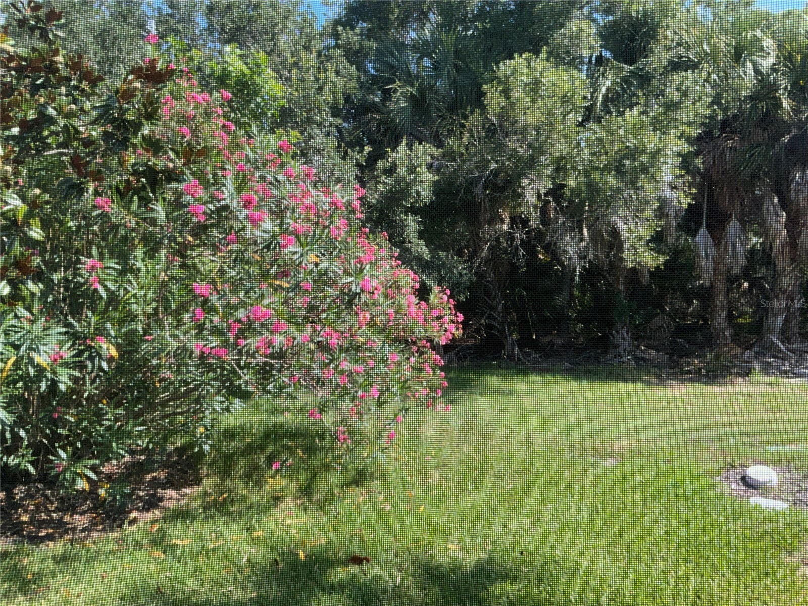8004 Camminare Drive Sarasota FL 34238 A4697215 image5
