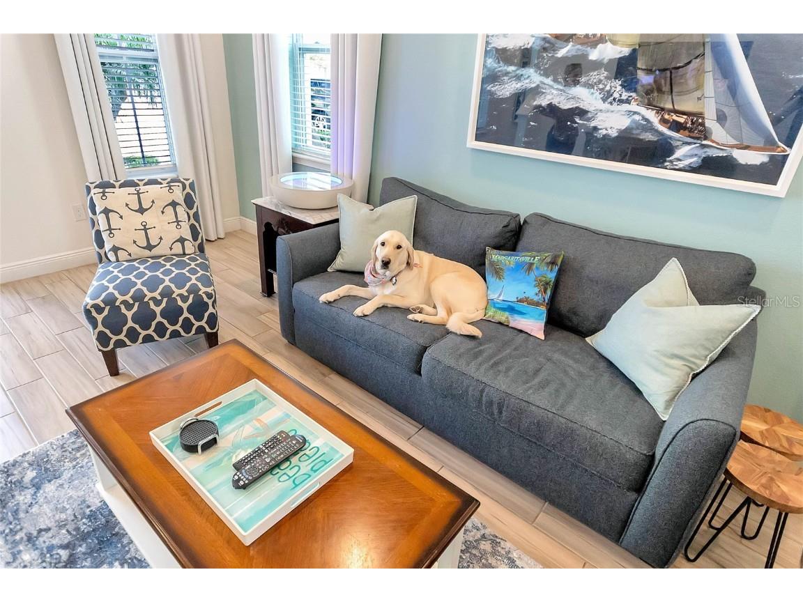 8004 Dreamsicle Drive Kissimmee FL 34747 O6328782 image4