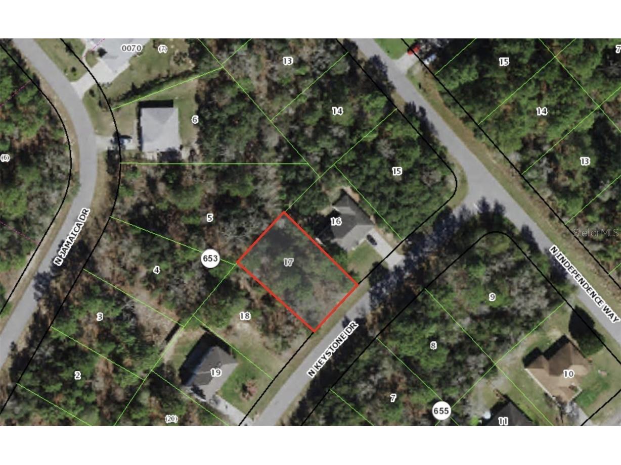 8004 N Keystone Drive Citrus Springs FL 34433 OM653283 image1