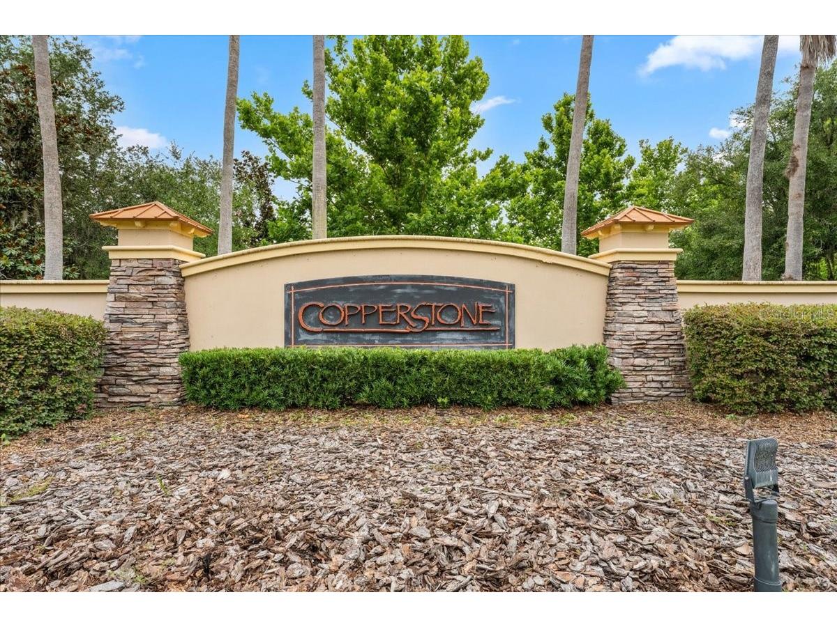 8005 112th Avenue E Parrish FL 34219 TB8499096 image50