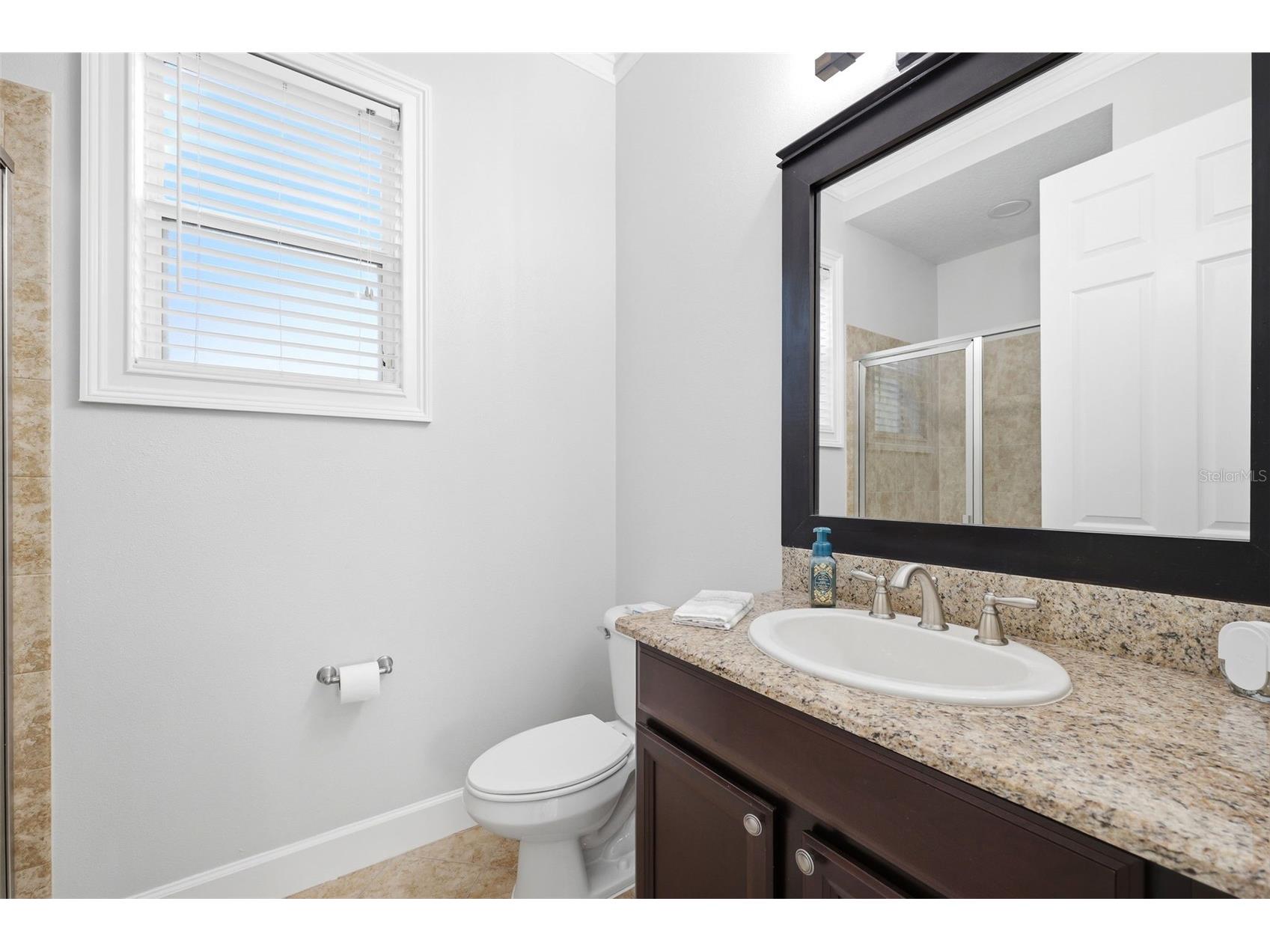 8005 Cypress Crossing Court Tampa FL 33647 TB8499569 image28