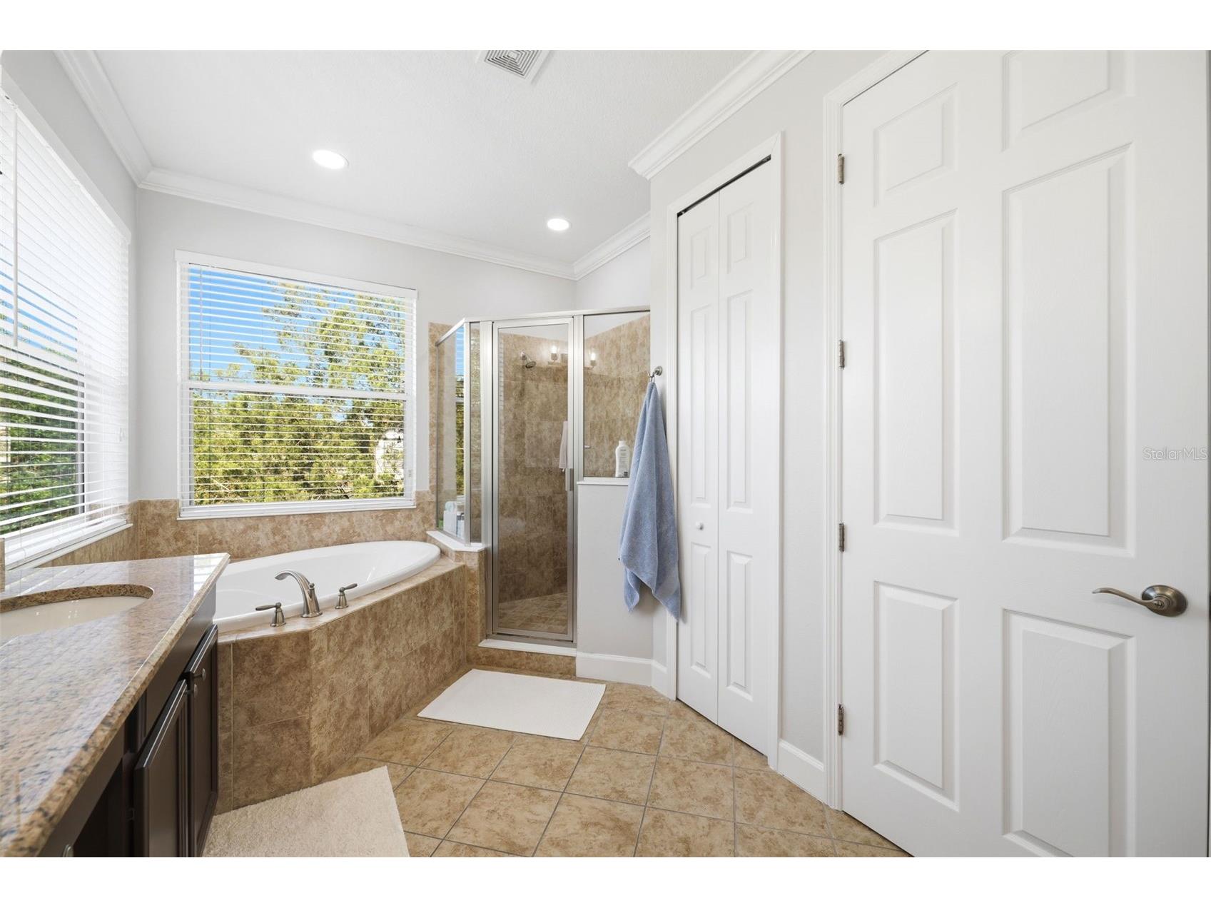 8005 Cypress Crossing Court Tampa FL 33647 TB8499569 image42