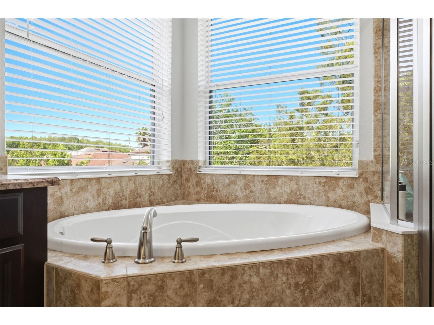 8005 Cypress Crossing Court Tampa FL 33647 TB8499569 image43