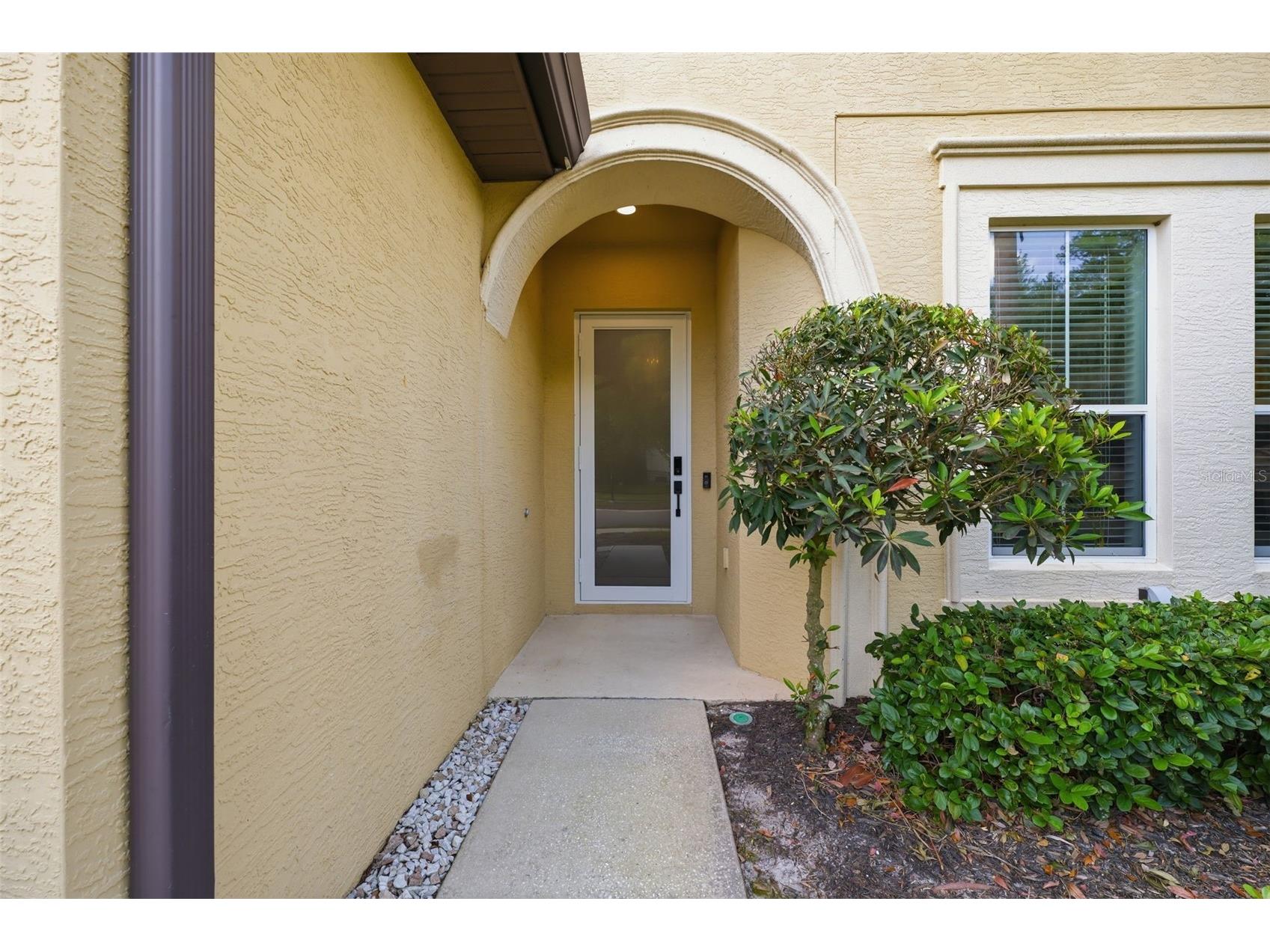 8005 Cypress Crossing Court Tampa FL 33647 TB8499569 image5