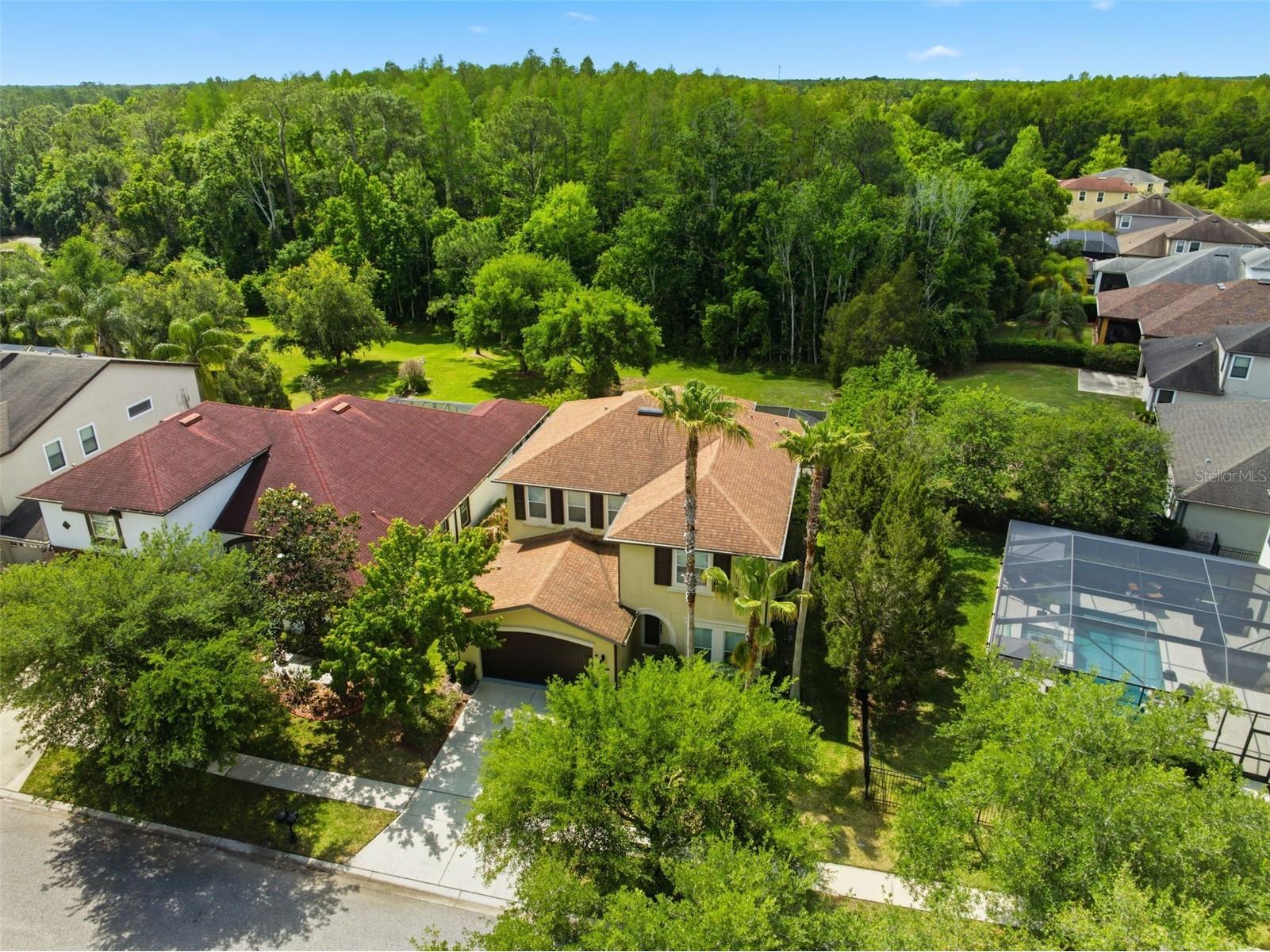 8005 Cypress Crossing Court Tampa FL 33647 TB8499569 image69