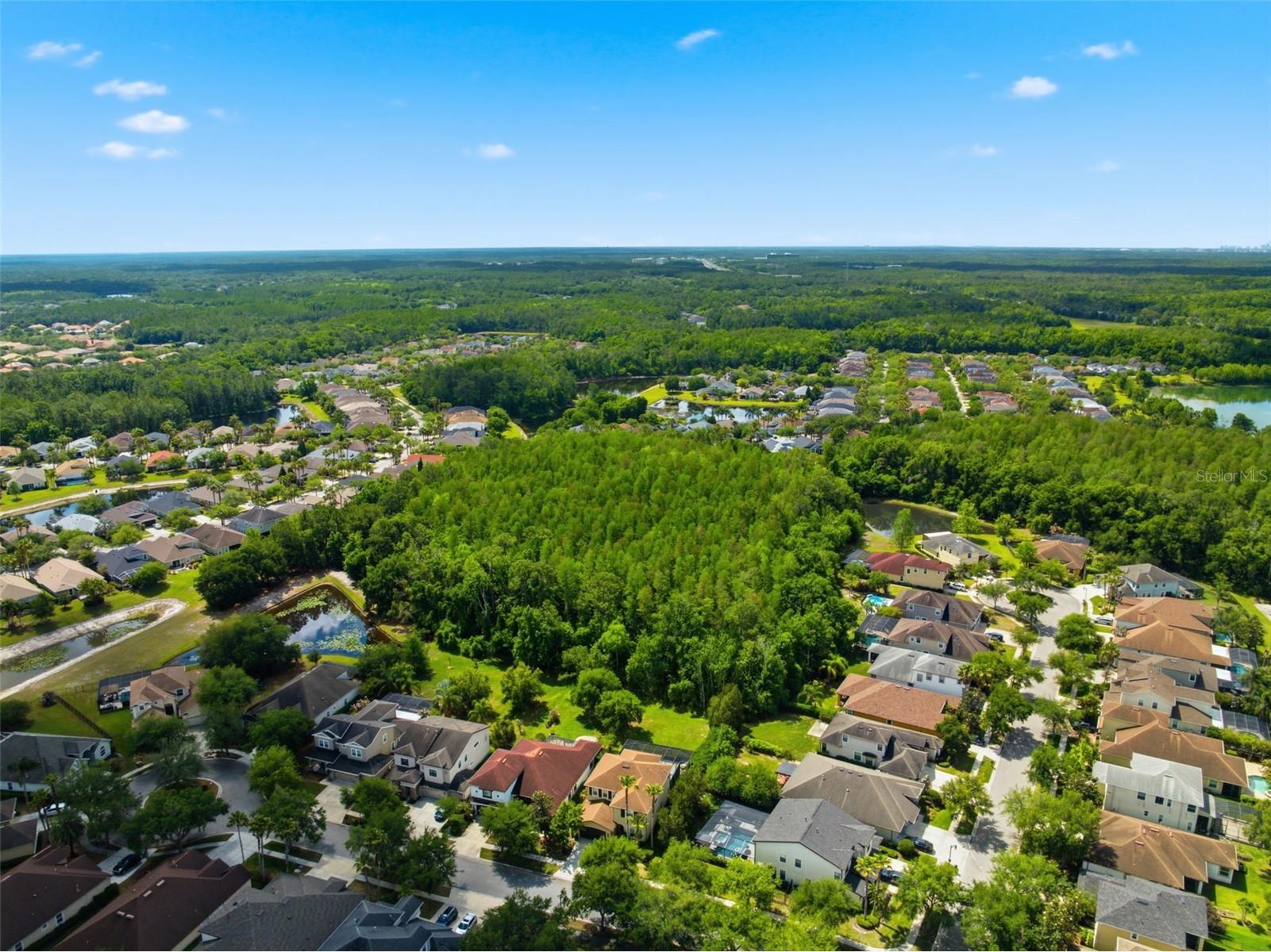 8005 Cypress Crossing Court Tampa FL 33647 TB8499569 image70