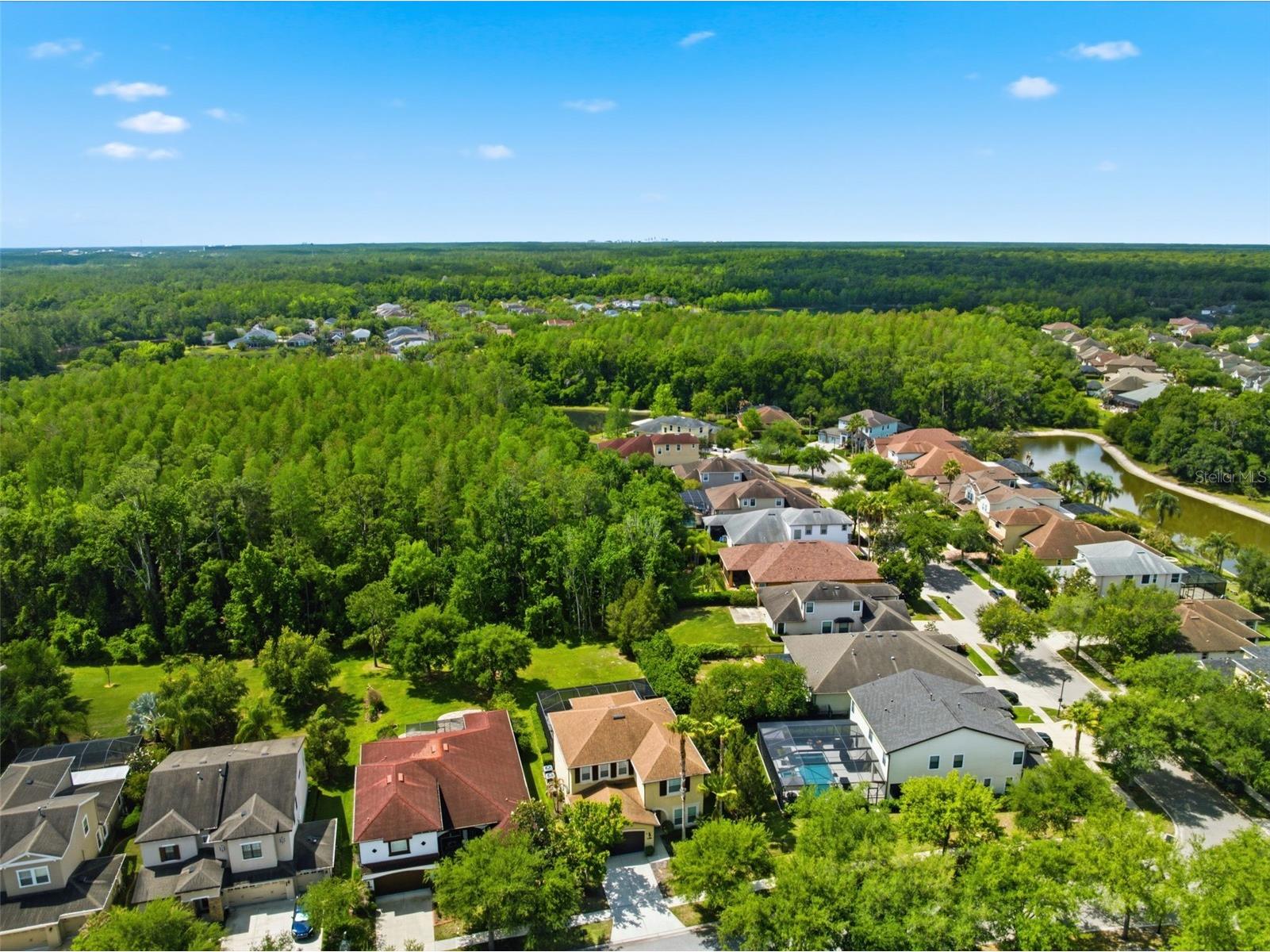 8005 Cypress Crossing Court Tampa FL 33647 TB8499569 image71