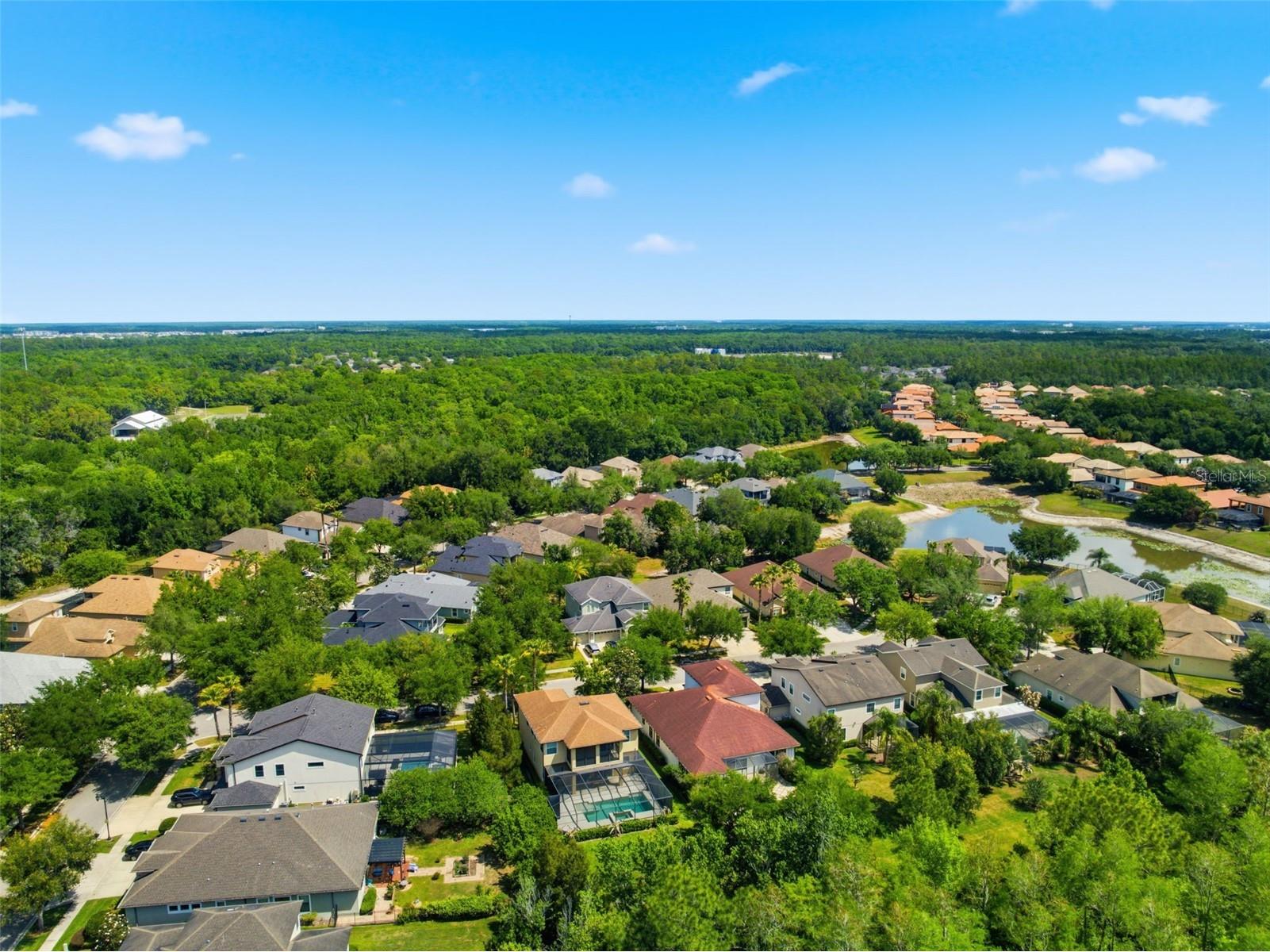 8005 Cypress Crossing Court Tampa FL 33647 TB8499569 image76