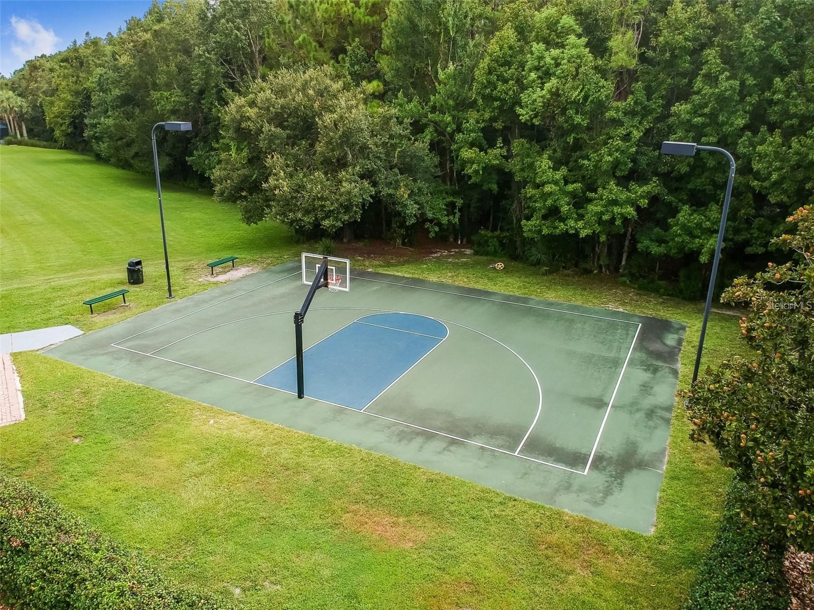 8005 Cypress Crossing Court Tampa FL 33647 TB8499569 image84