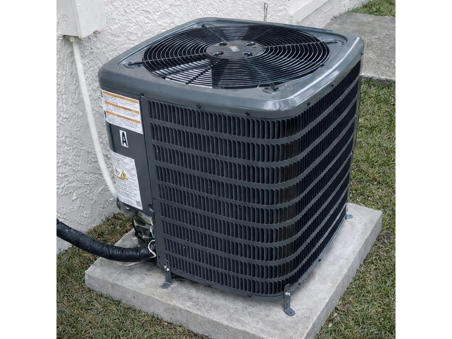 8005 N 13th Street Tampa FL 33604 TB8474806 image4