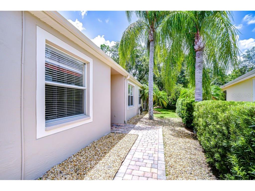 8005 Shaddock Place Land O Lakes FL 34637 TB8411408 image2