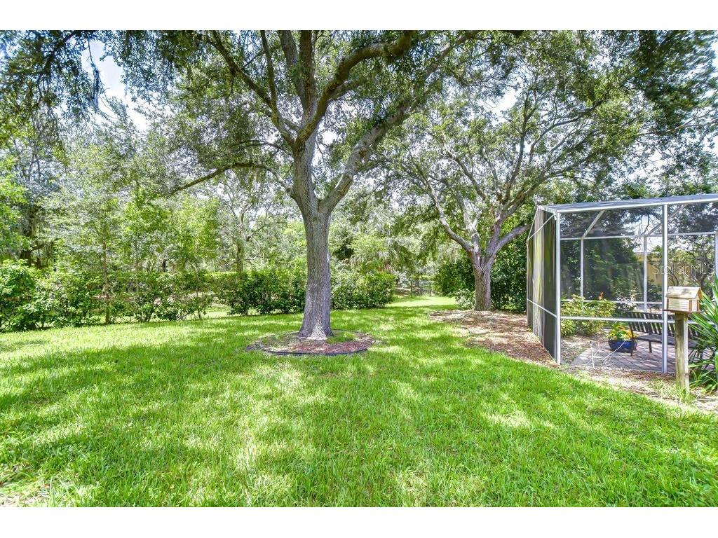 8005 Shaddock Place Land O Lakes FL 34637 TB8411408 image22