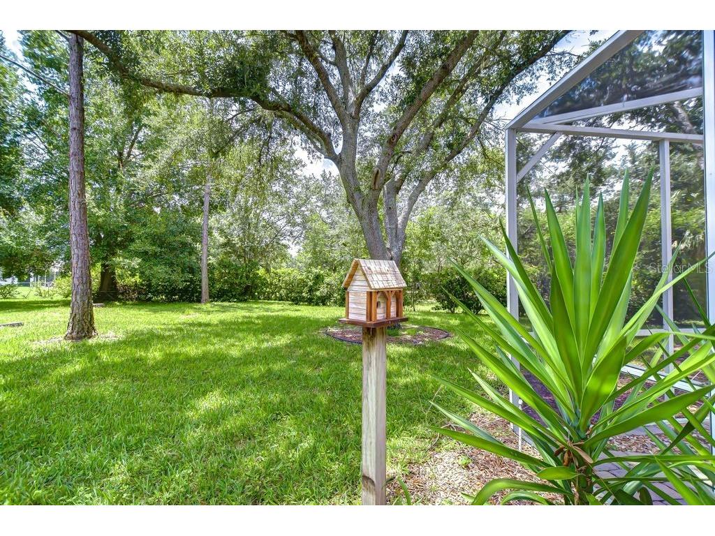 8005 Shaddock Place Land O Lakes FL 34637 TB8411408 image23