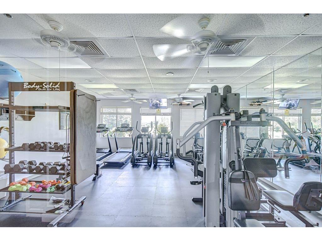 8005 Shaddock Place Land O Lakes FL 34637 TB8411408 image32