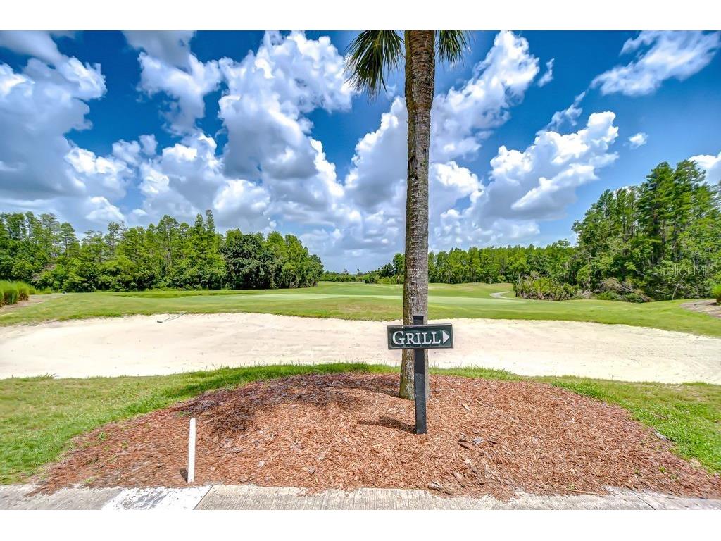 8005 Shaddock Place Land O Lakes FL 34637 TB8411408 image33