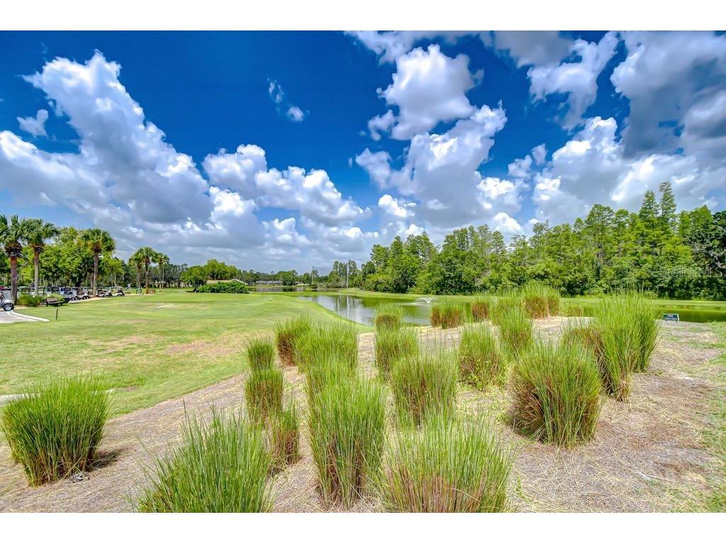8005 Shaddock Place Land O Lakes FL 34637 TB8411408 image34