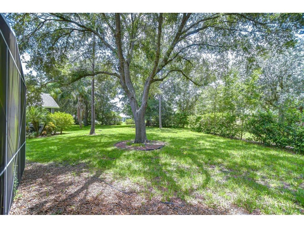 8005 Shaddock Place Land O Lakes FL 34637 TB8411408 image4