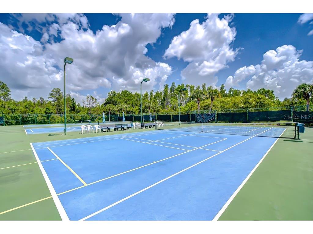 8005 Shaddock Place Land O Lakes FL 34637 TB8411408 image41