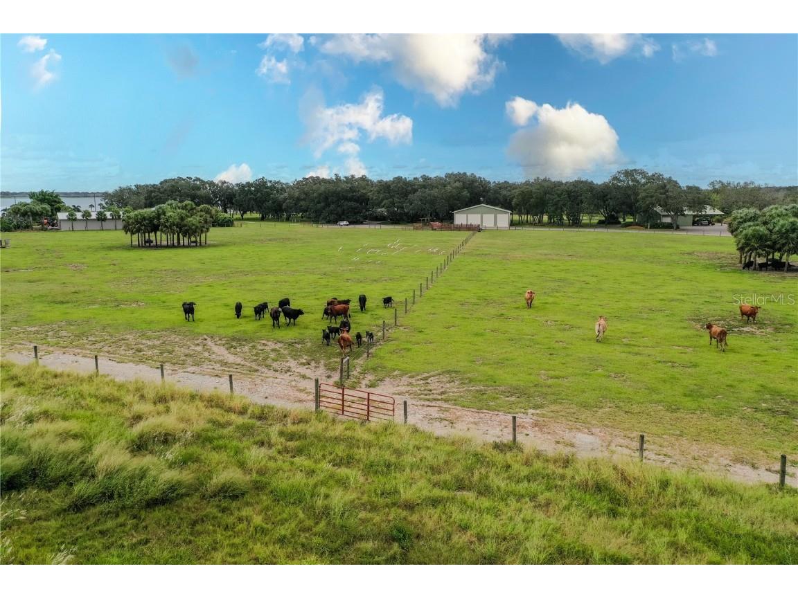 8006 Lake Lowery Road Haines City FL 33844 - LAKE LOWERY P4936423 image64