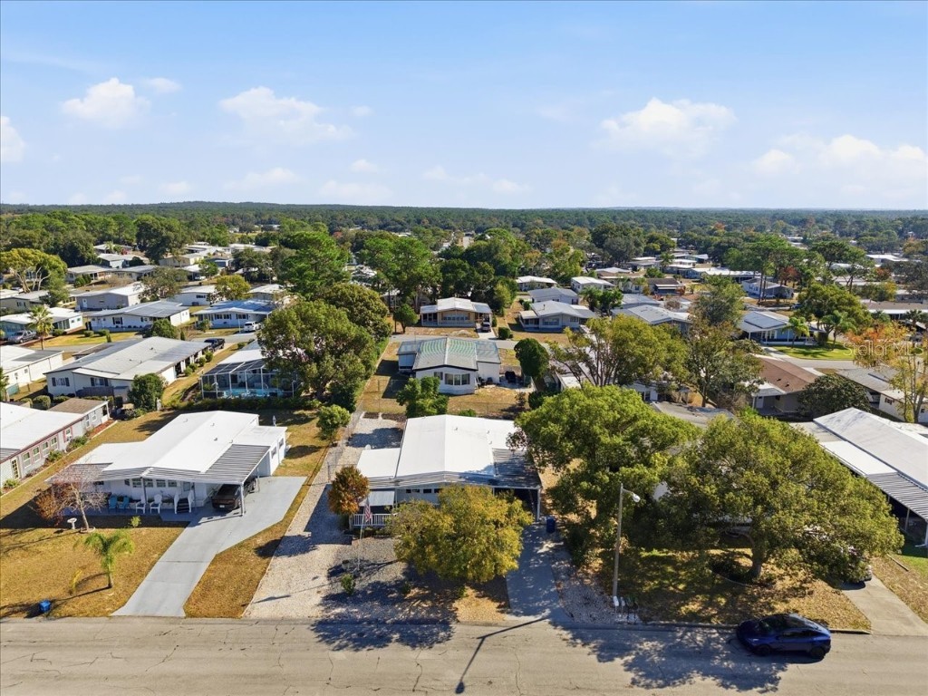 8006 Montrose Avenue Brooksville FL 34613 W7880987 image51